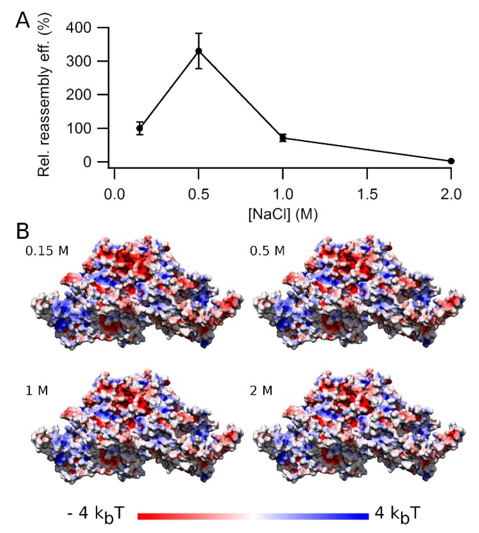 Viruses 15 01054 g007 Viruses 15 01054 g007
