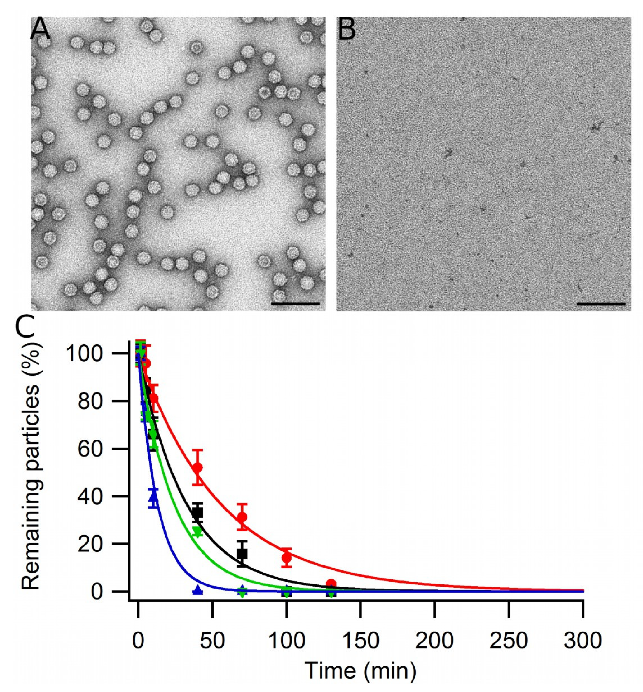Viruses 15 01054 g009 Viruses 15 01054 g009