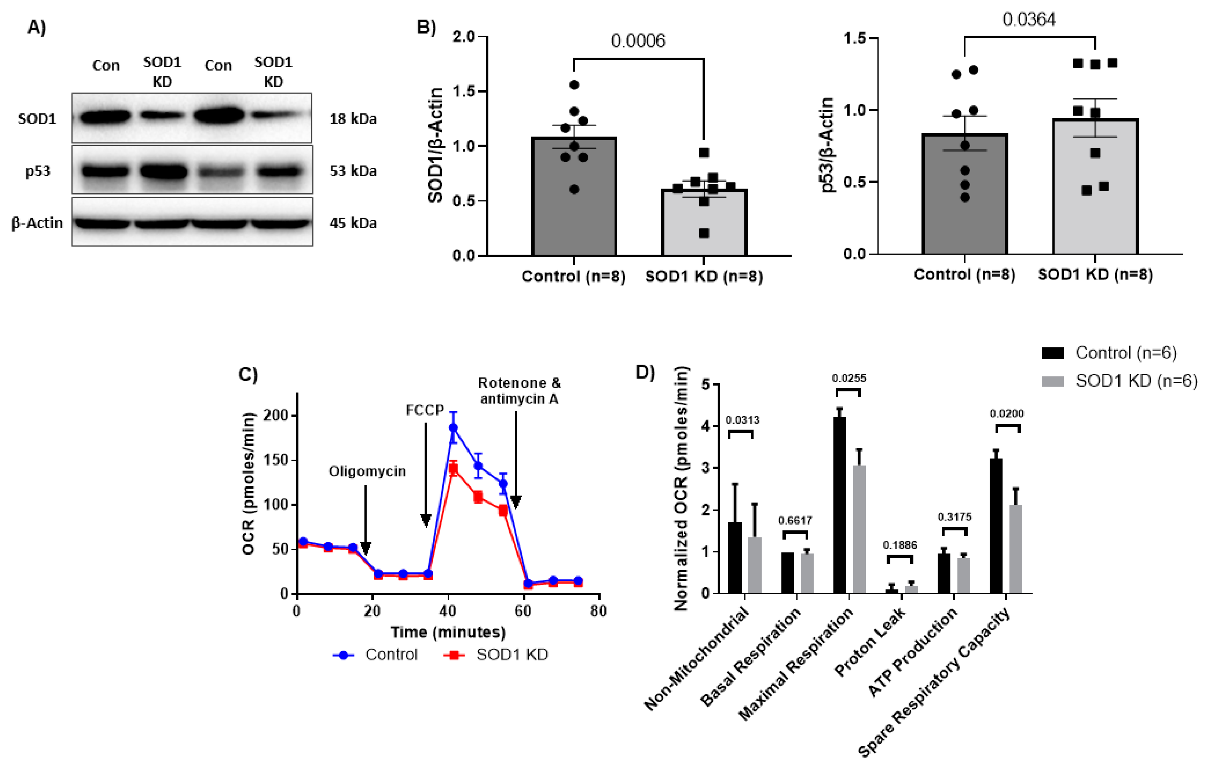 Viruses 15 01061 g002
