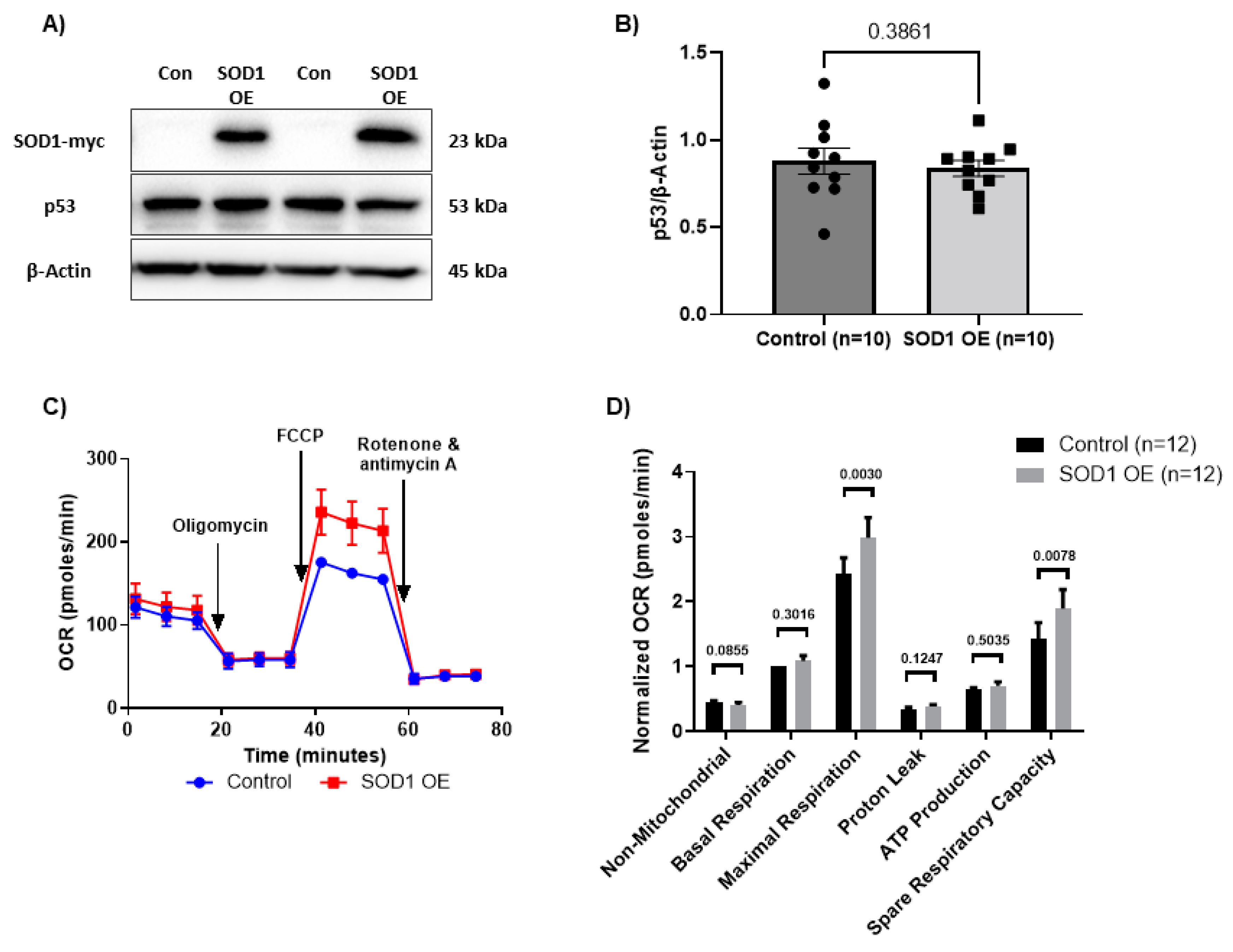 Viruses 15 01061 g003