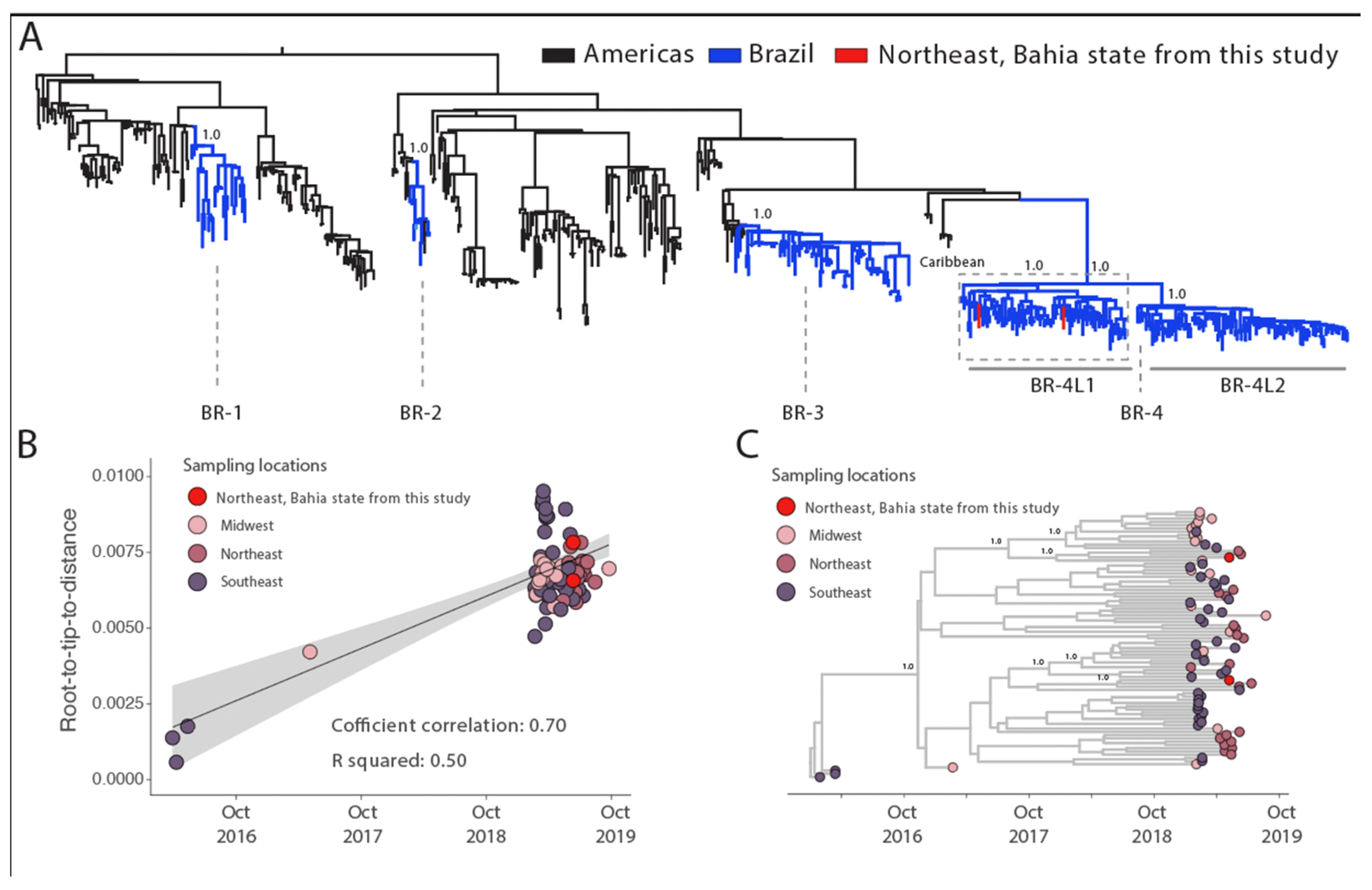 Viruses 15 01073 g003