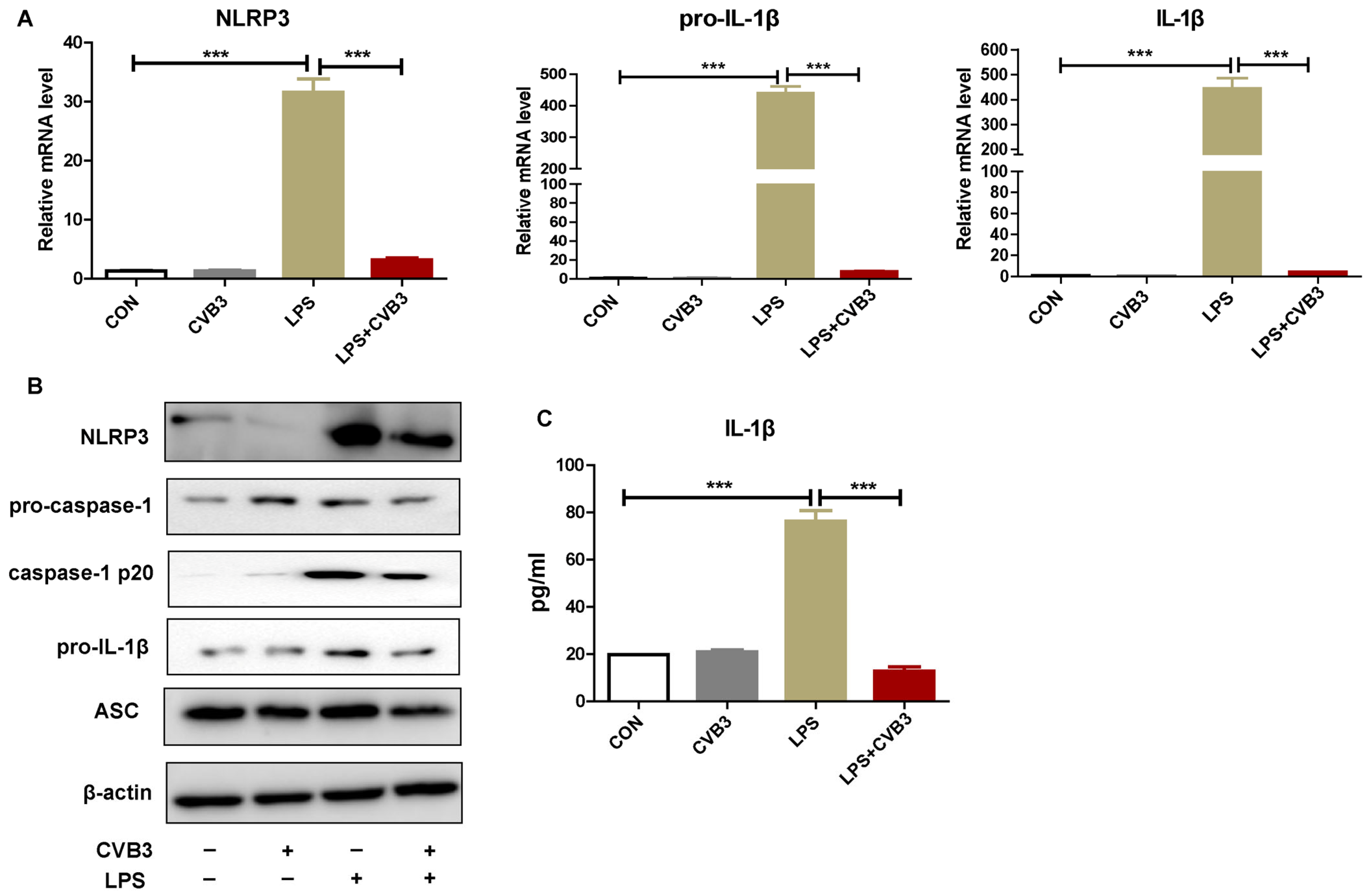 Viruses 15 01078 g002