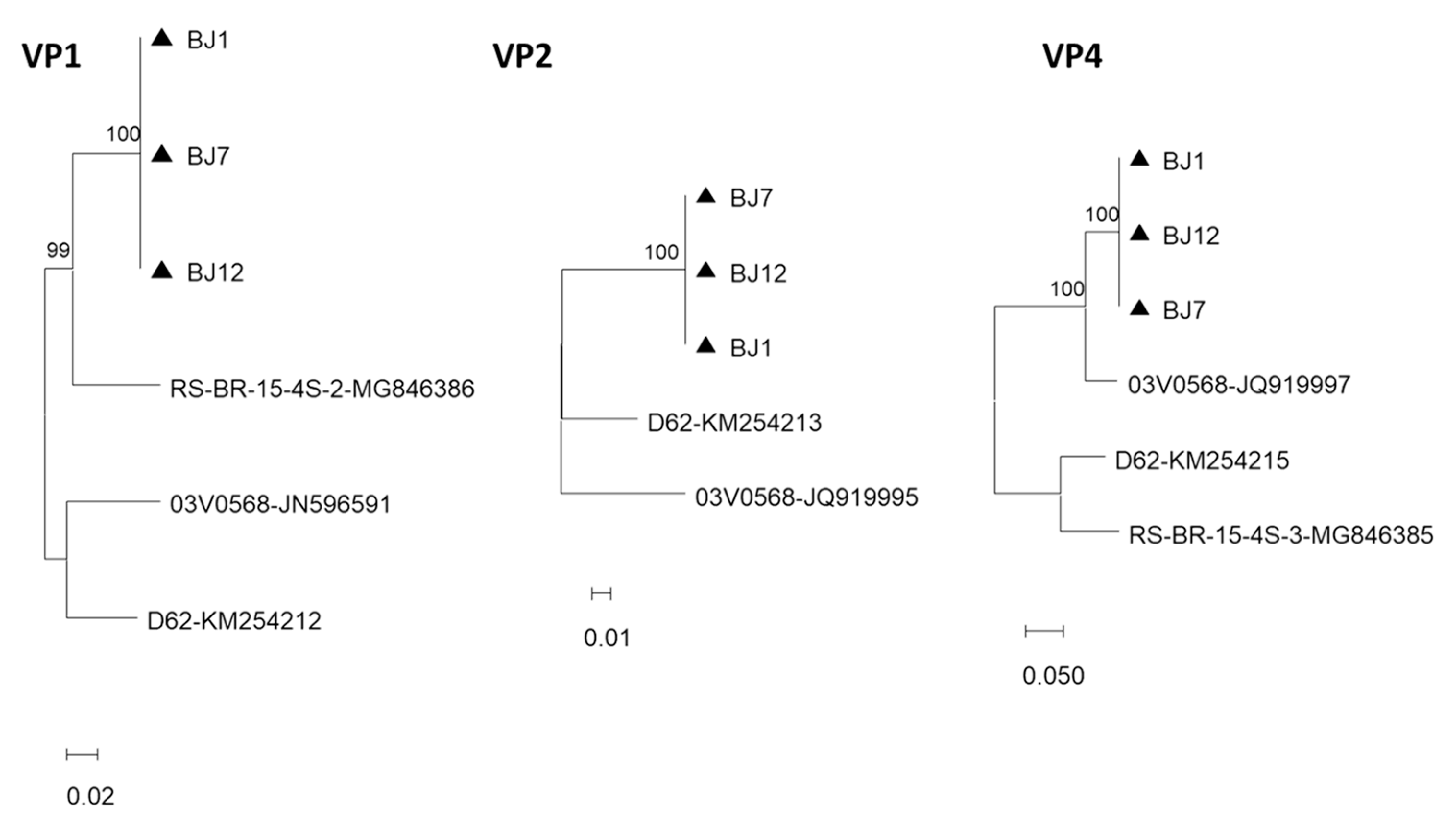 Viruses 15 01089 g002a