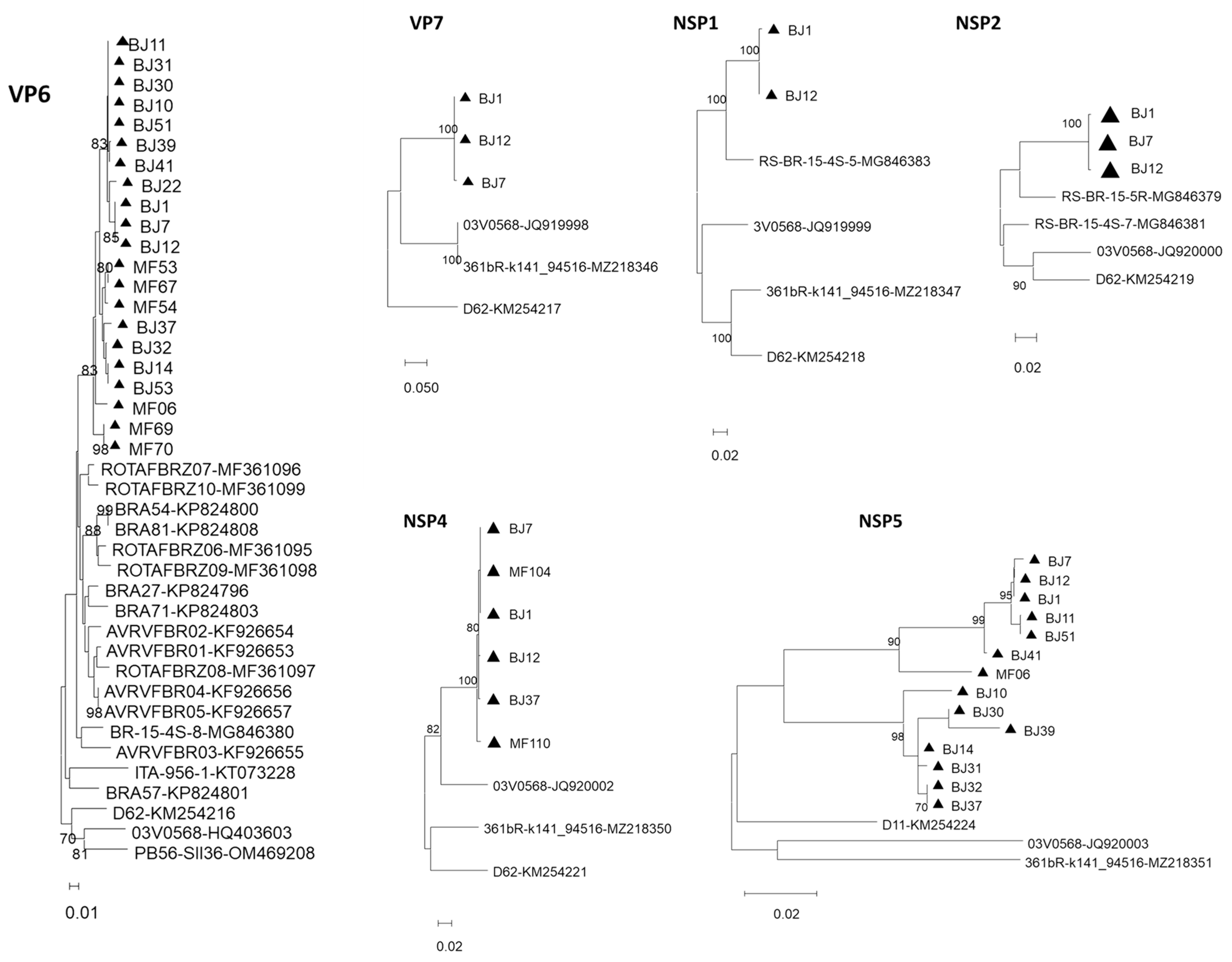 Viruses 15 01089 g002b