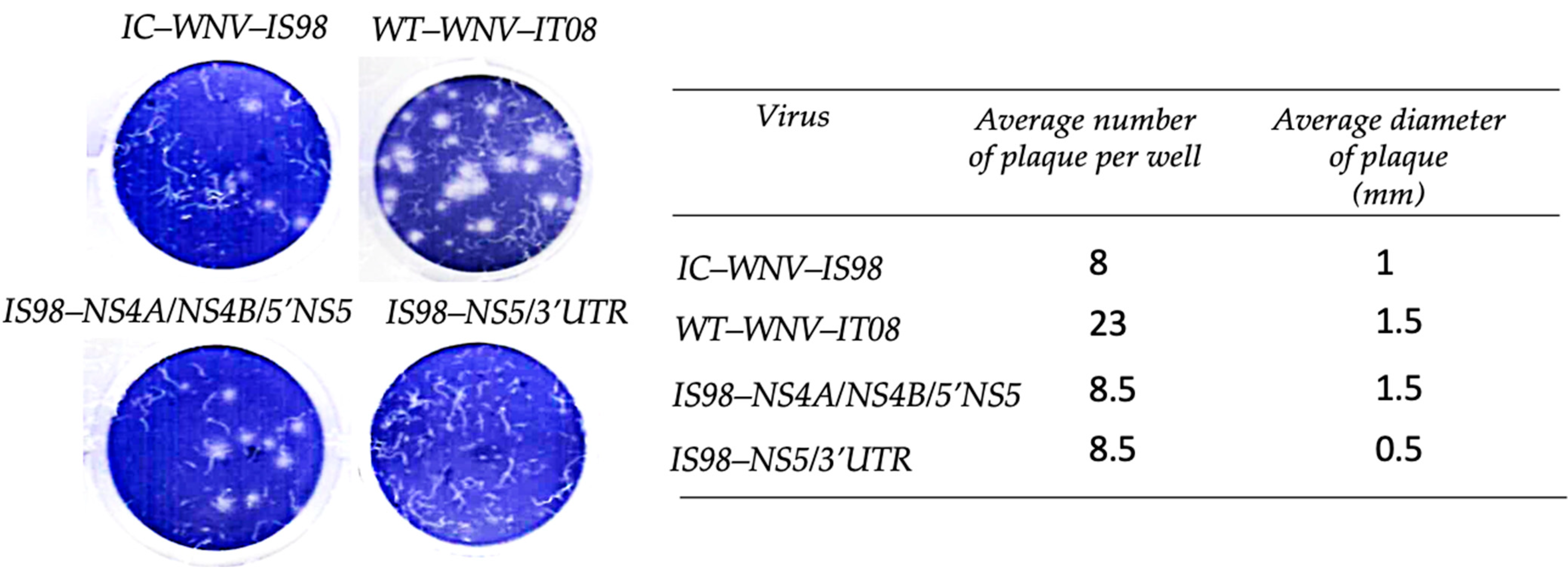 Viruses 15 01094 g003