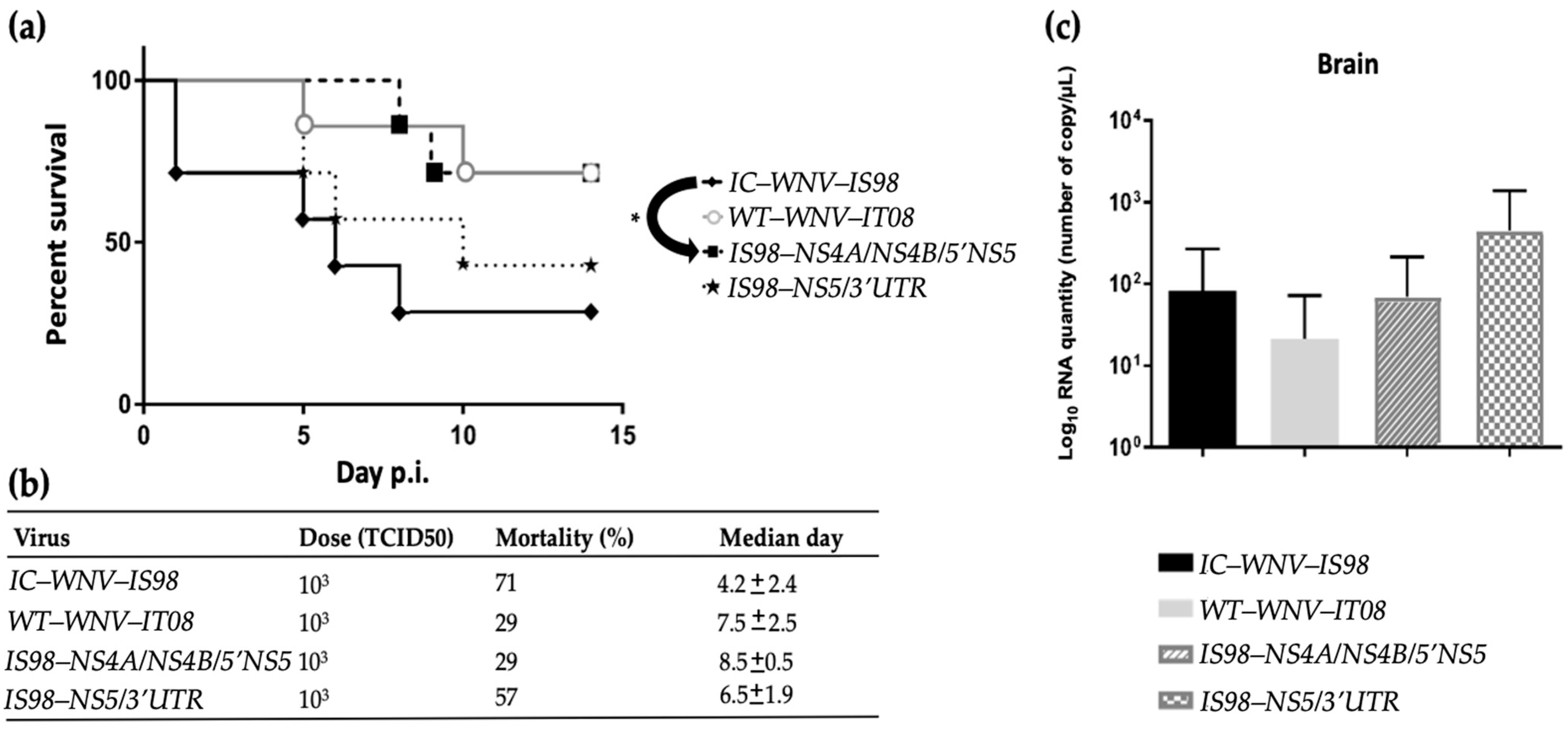 Viruses 15 01094 g008