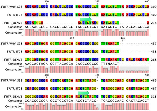Viruses 15 01094 g0a3