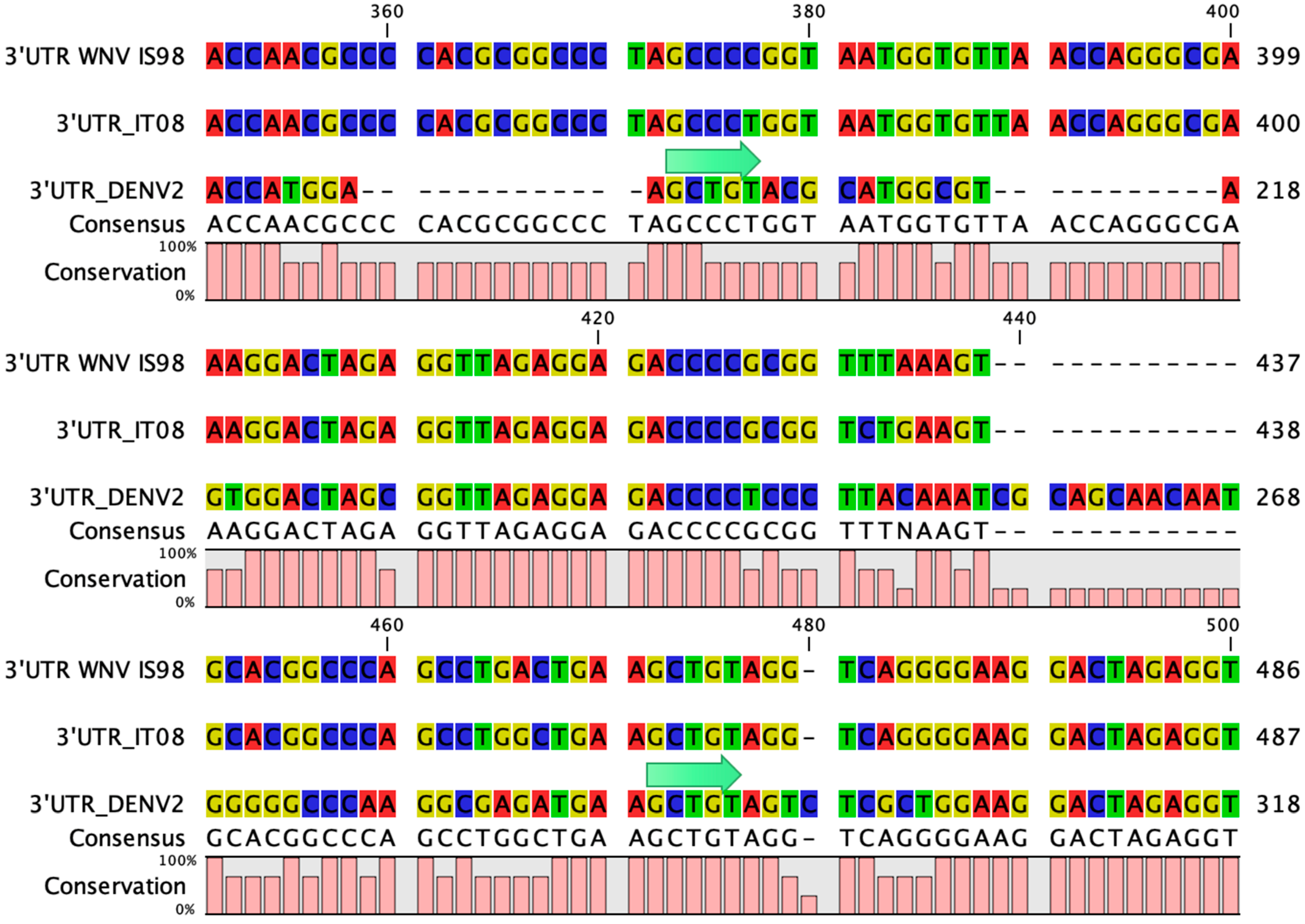 Viruses 15 01094 g0a3
