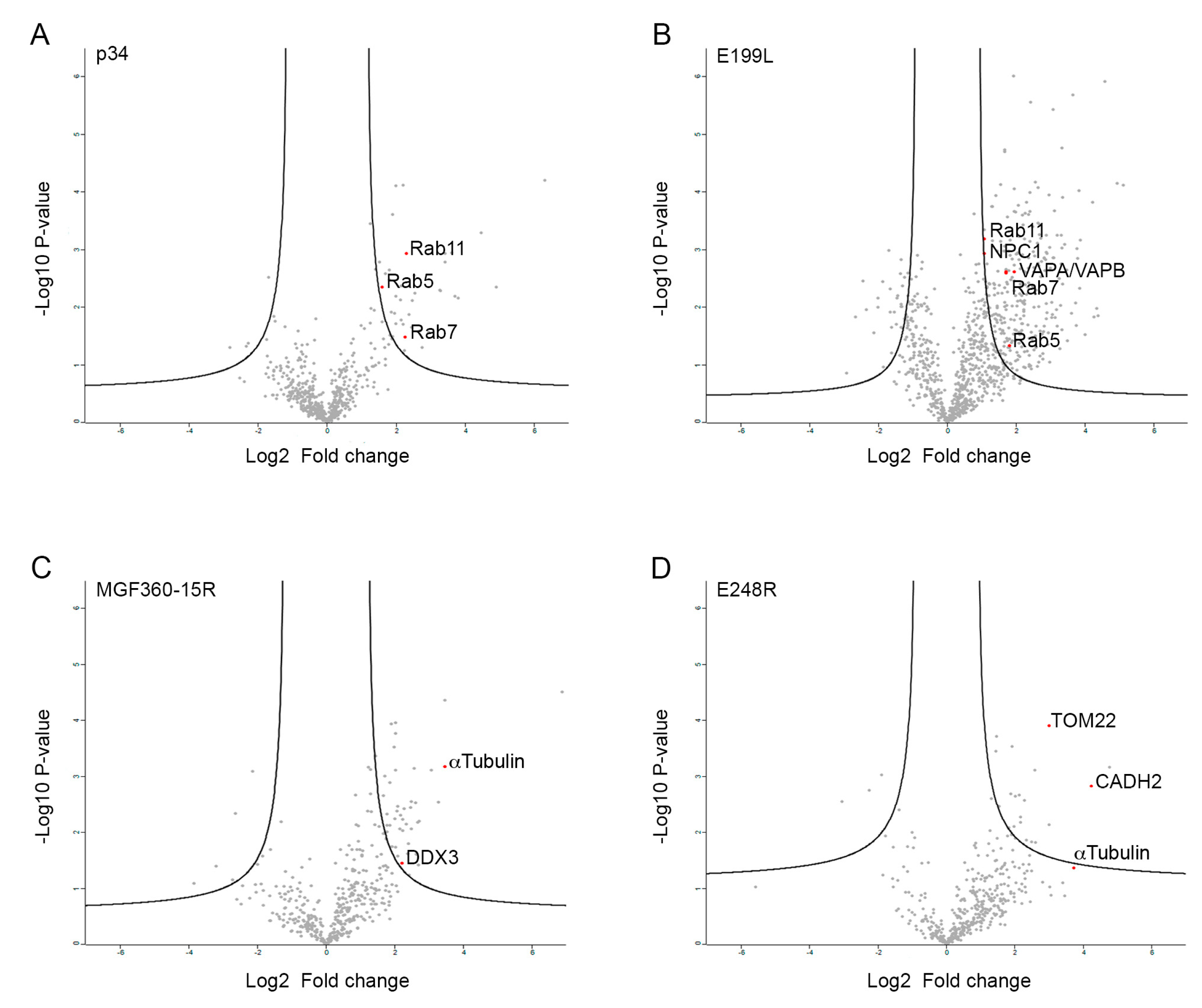 Viruses 15 01098 g002