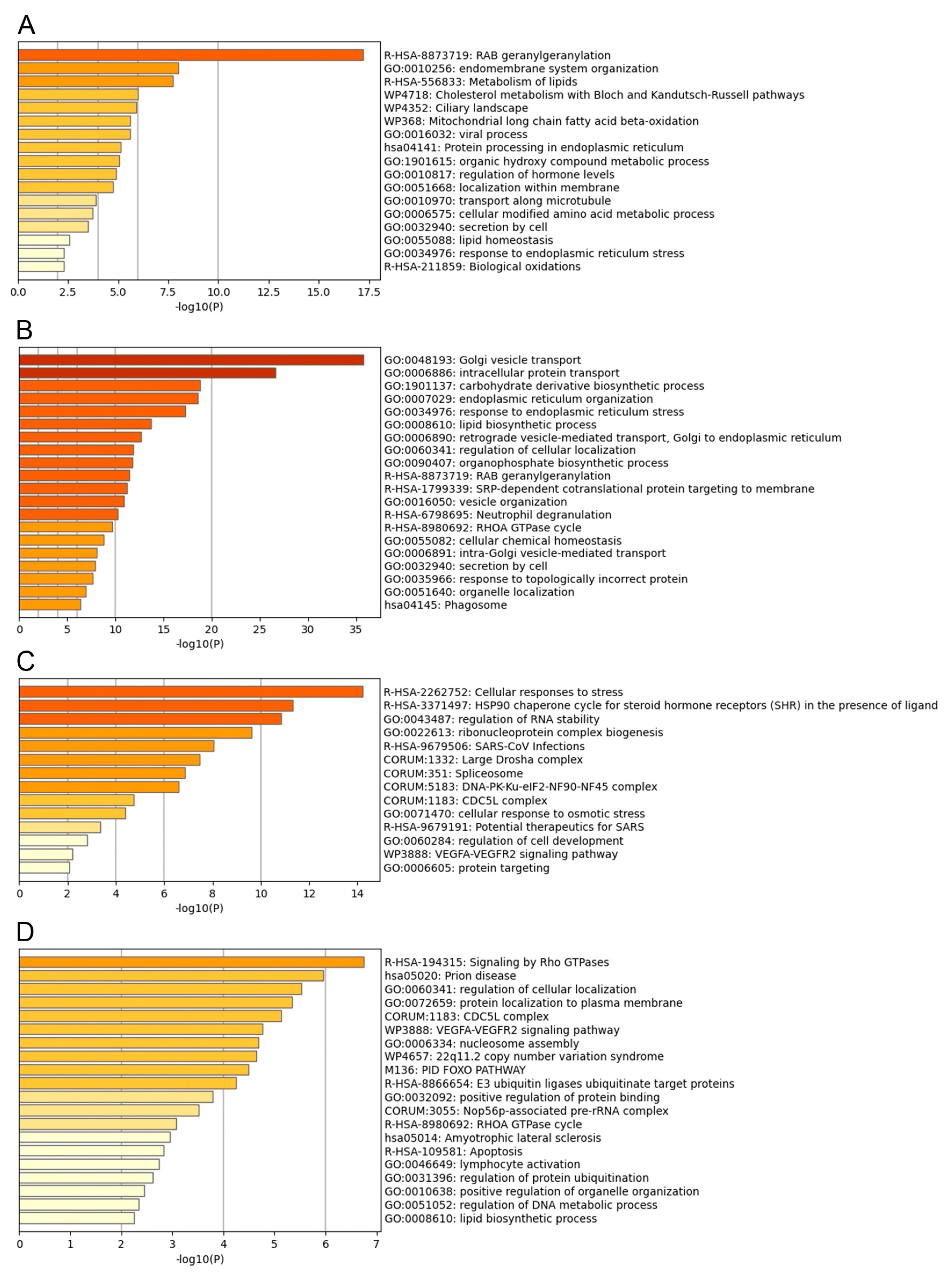 Viruses 15 01098 g003