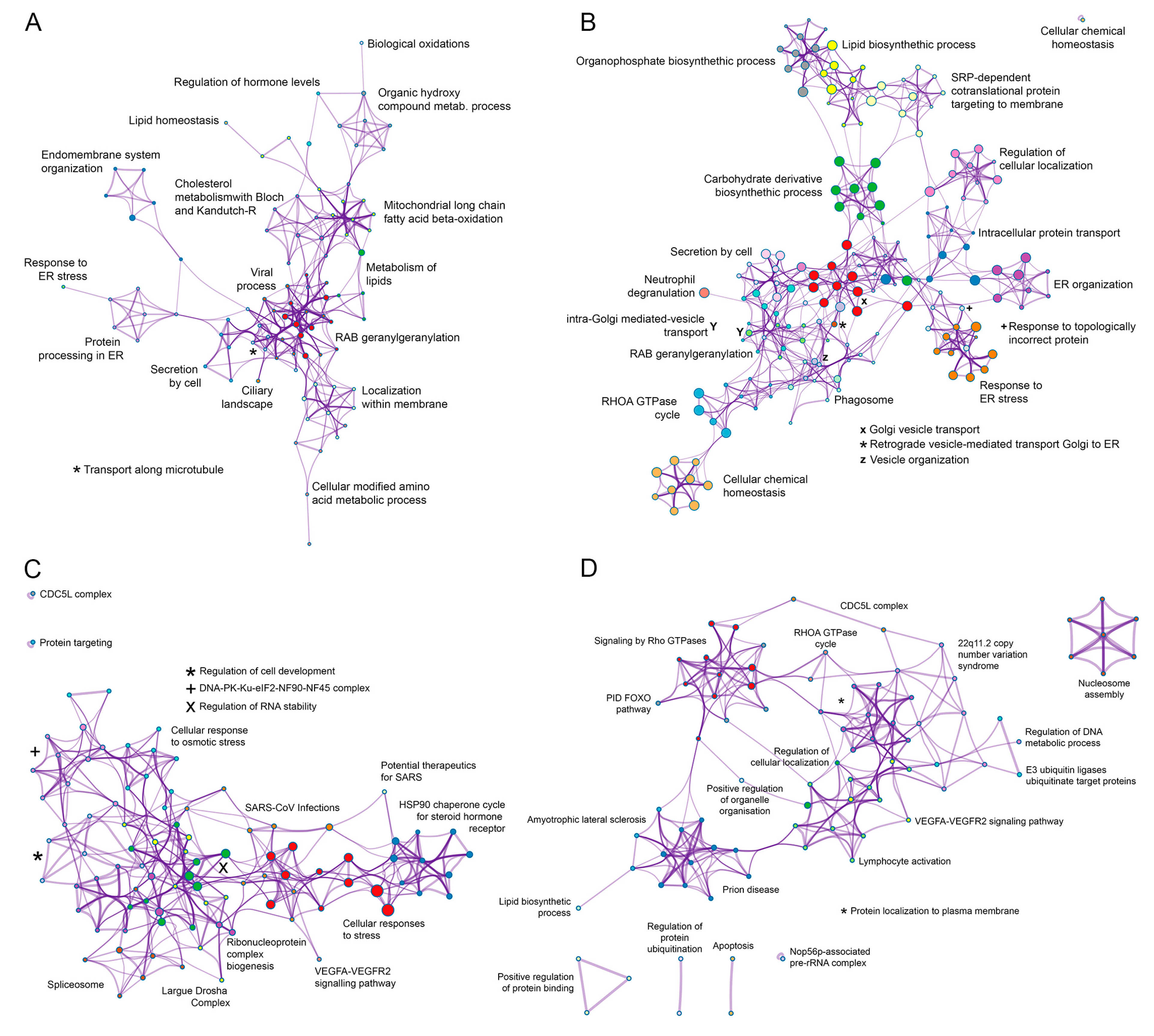 Viruses 15 01098 g004