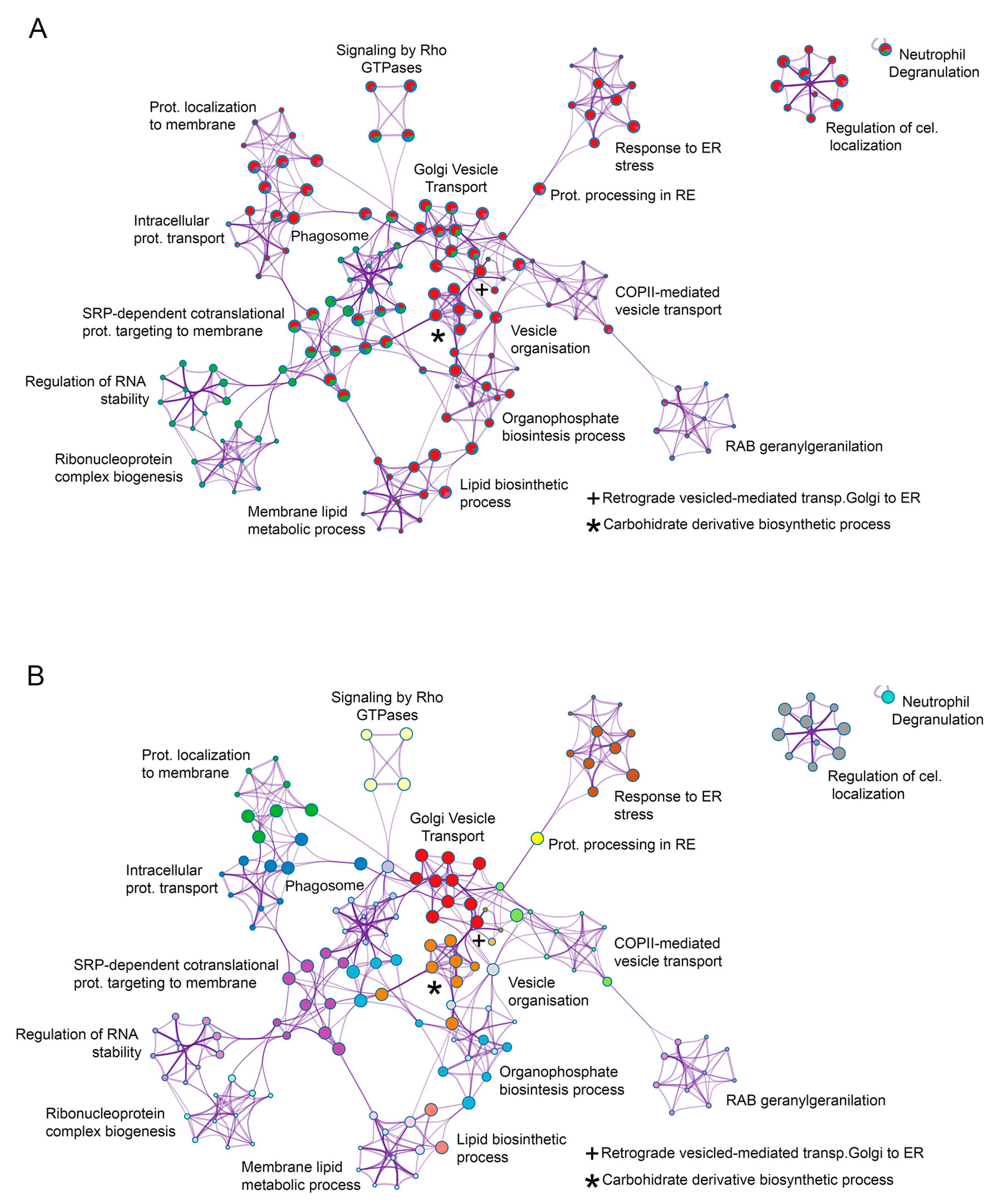 Viruses 15 01098 g006