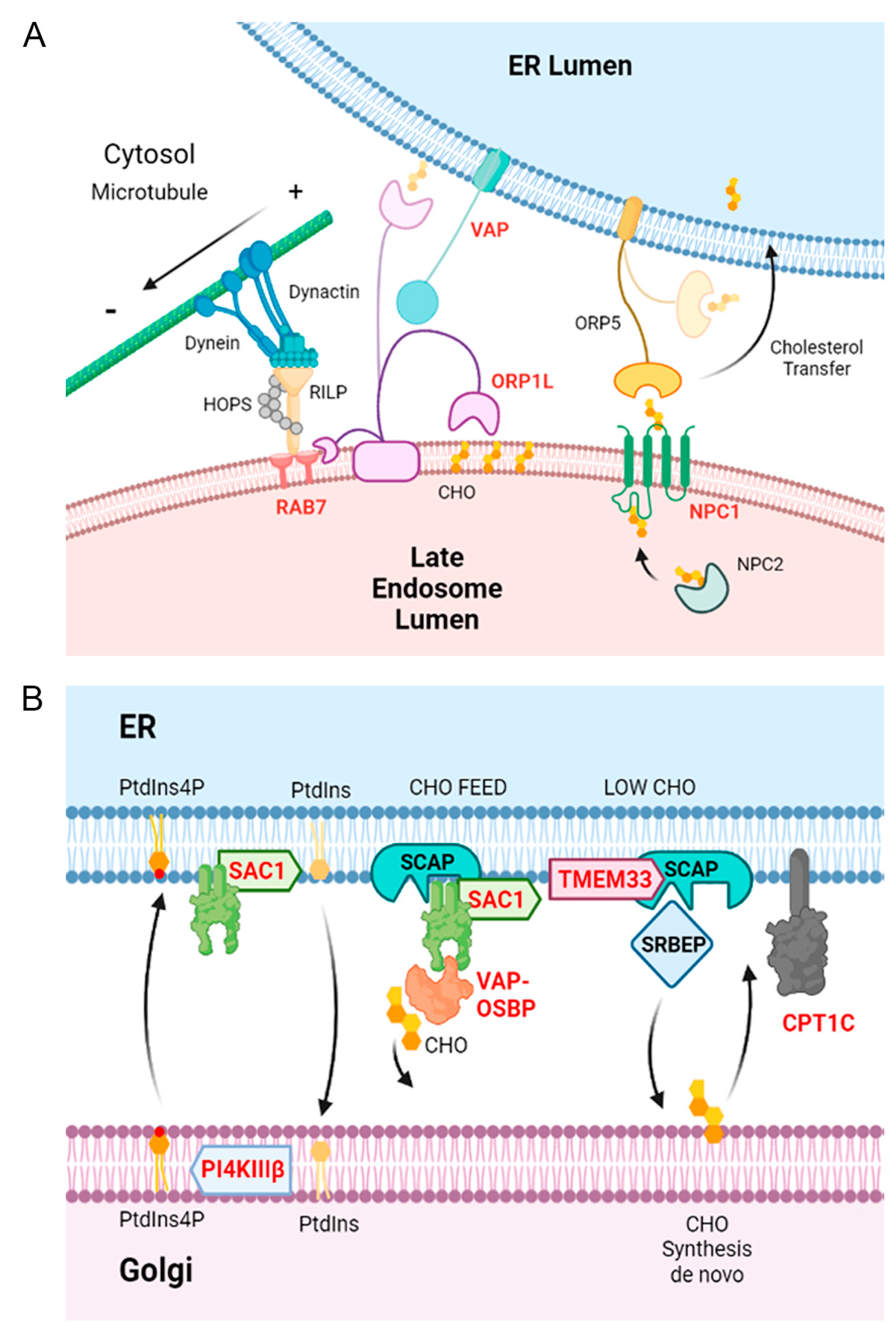 Viruses 15 01098 g008