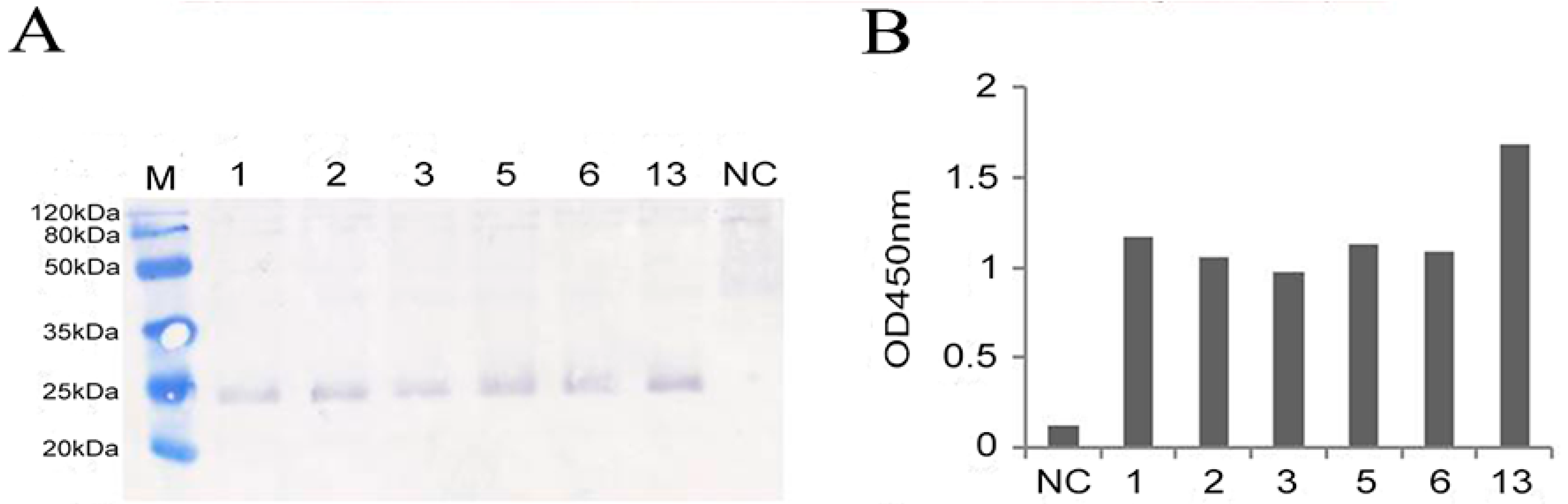 Viruses 15 01101 g004