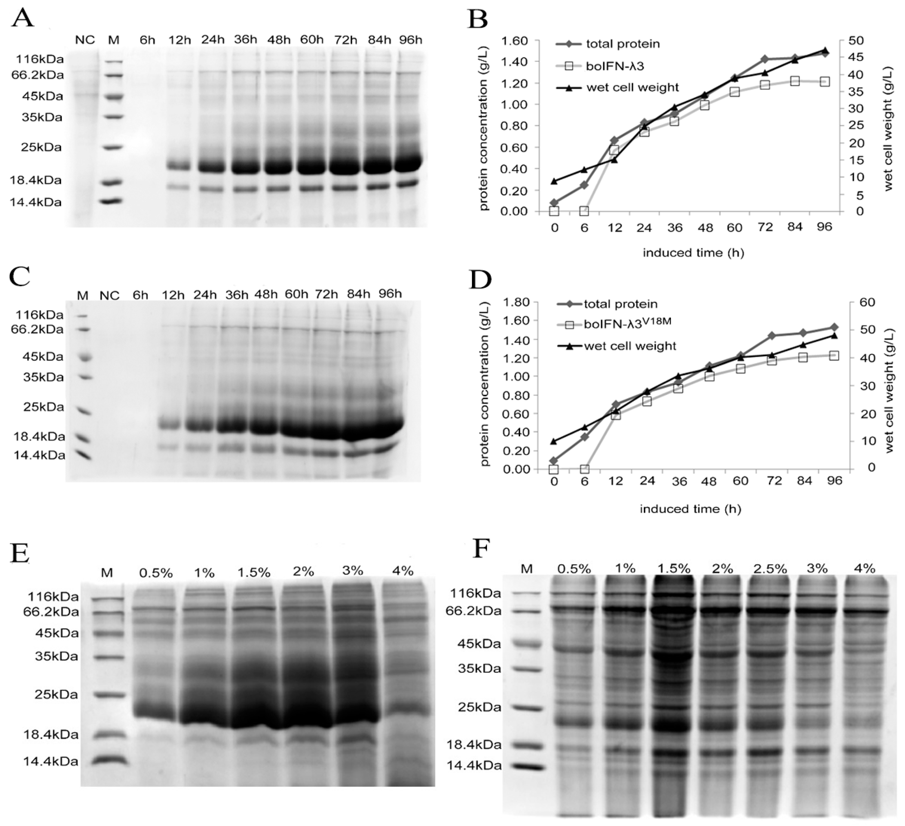 Viruses 15 01101 g005