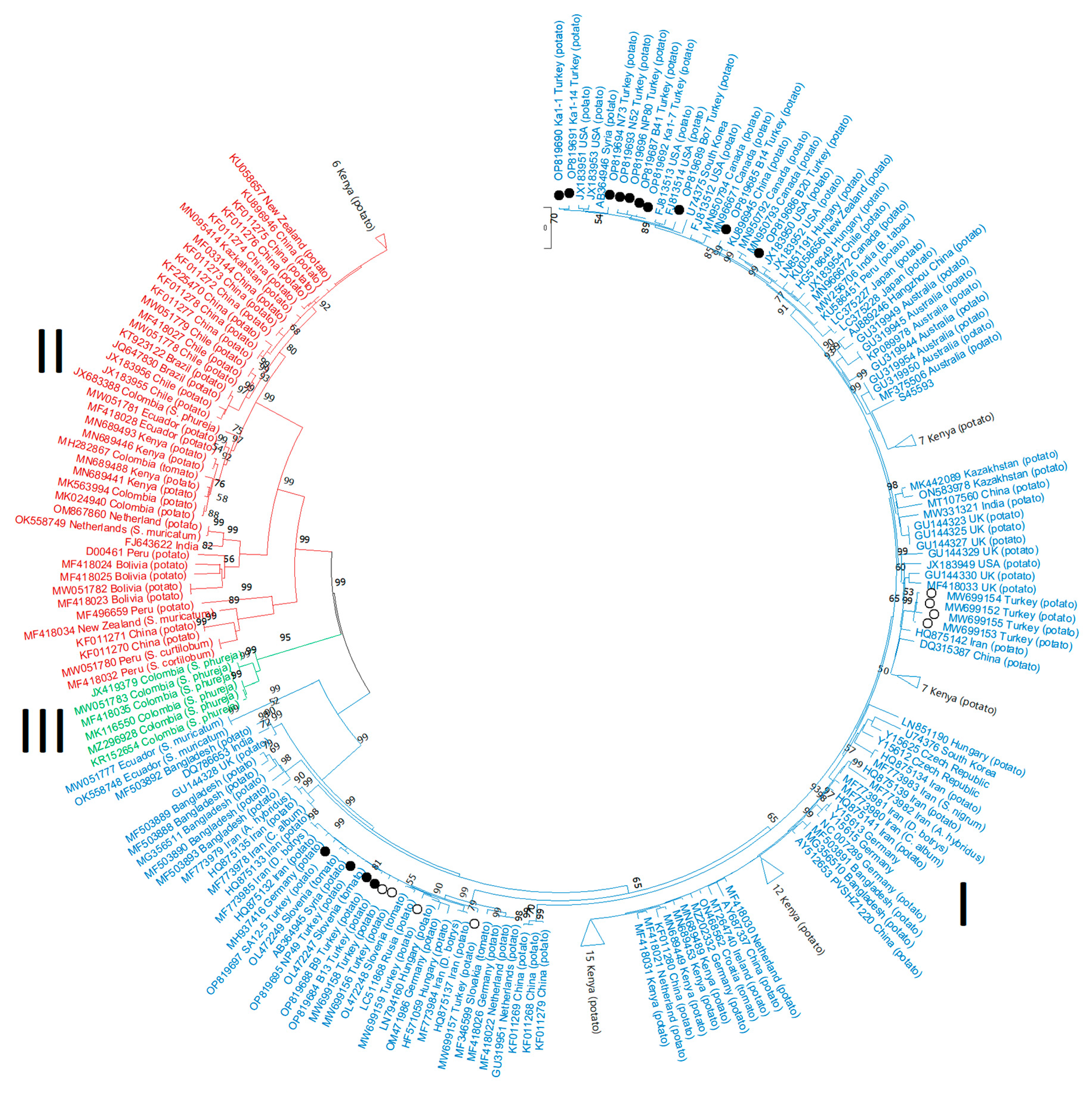 Viruses 15 01104 g004