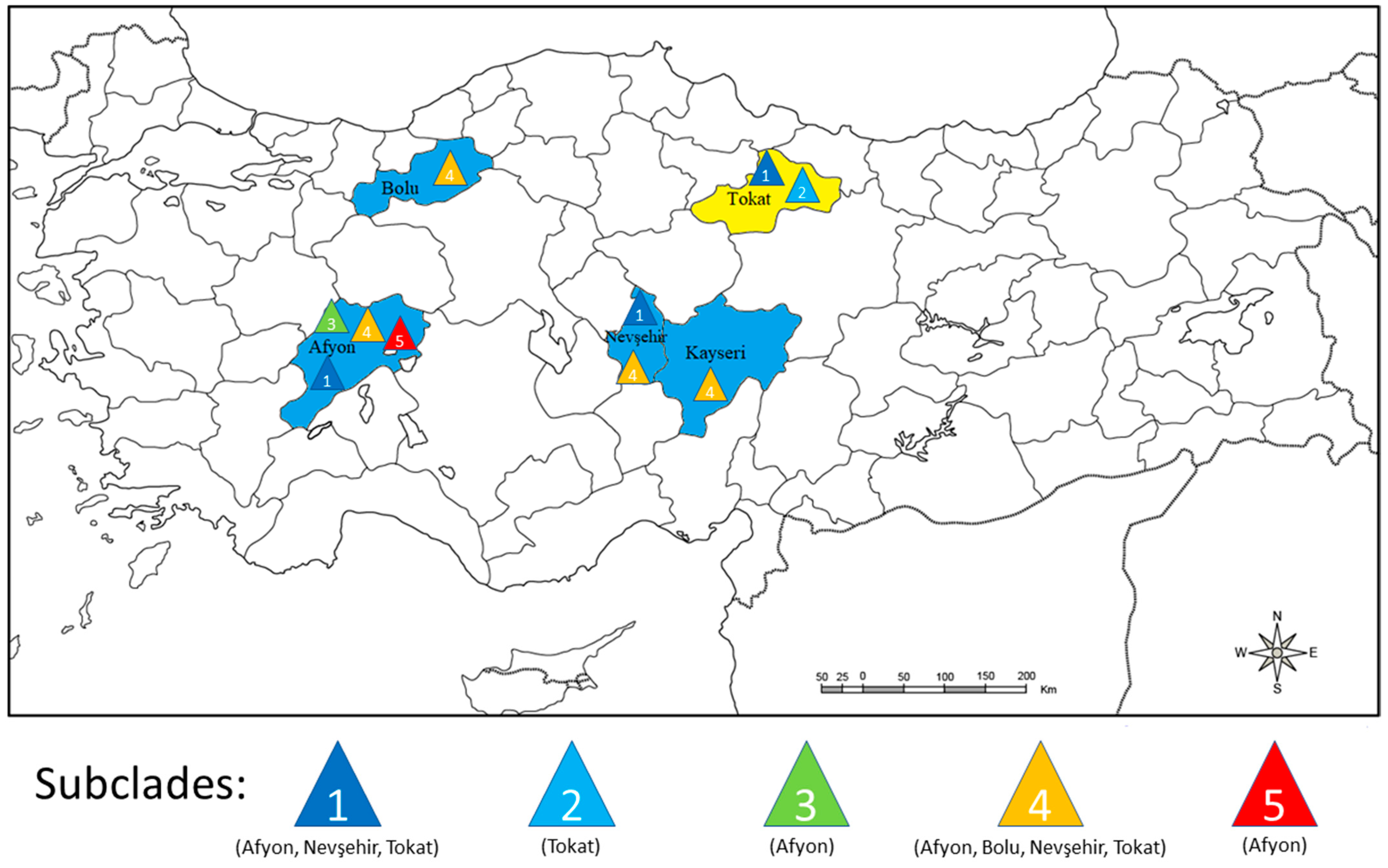 Viruses 15 01104 g005