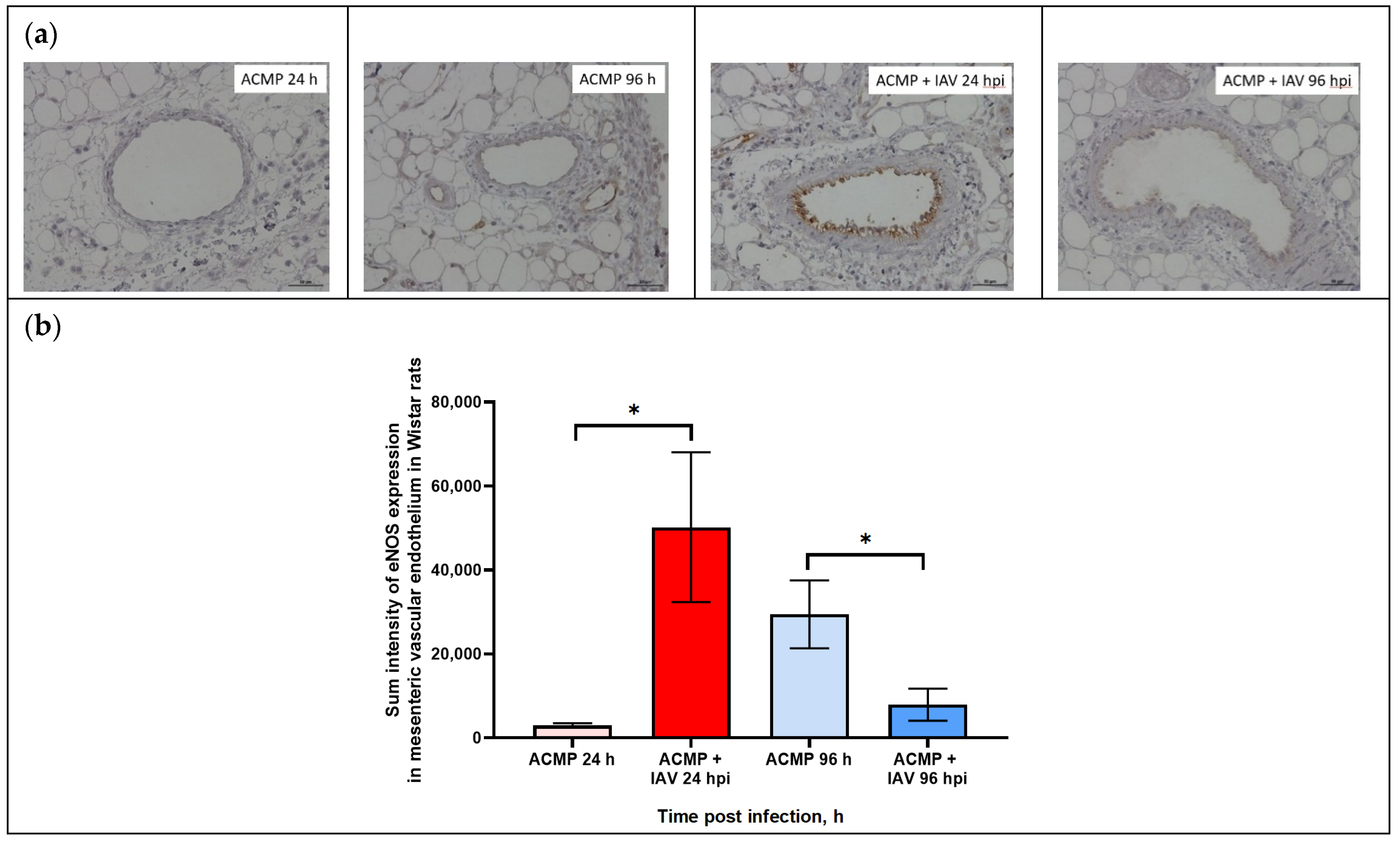 Viruses 15 01114 g005