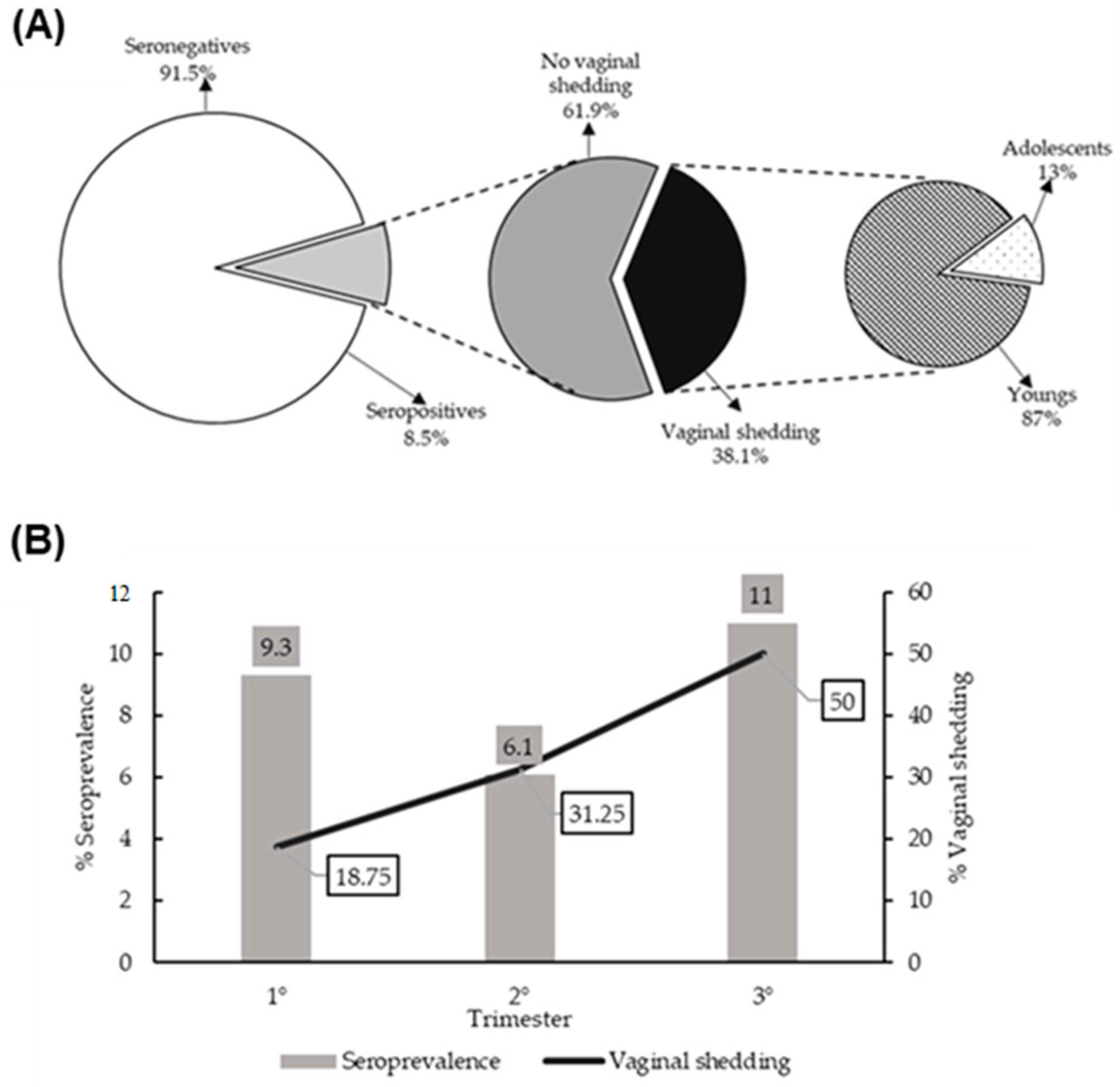 Viruses 15 01122 g001 Viruses 15 01122 g001