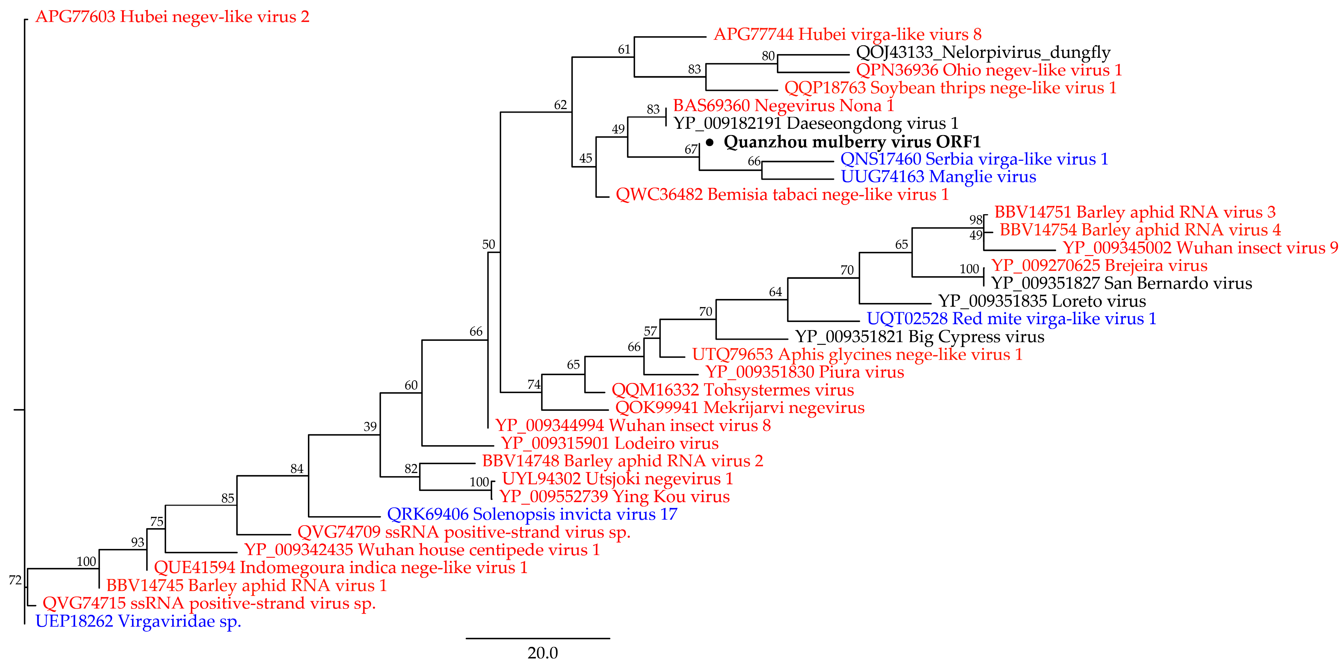 Viruses 15 01131 g002