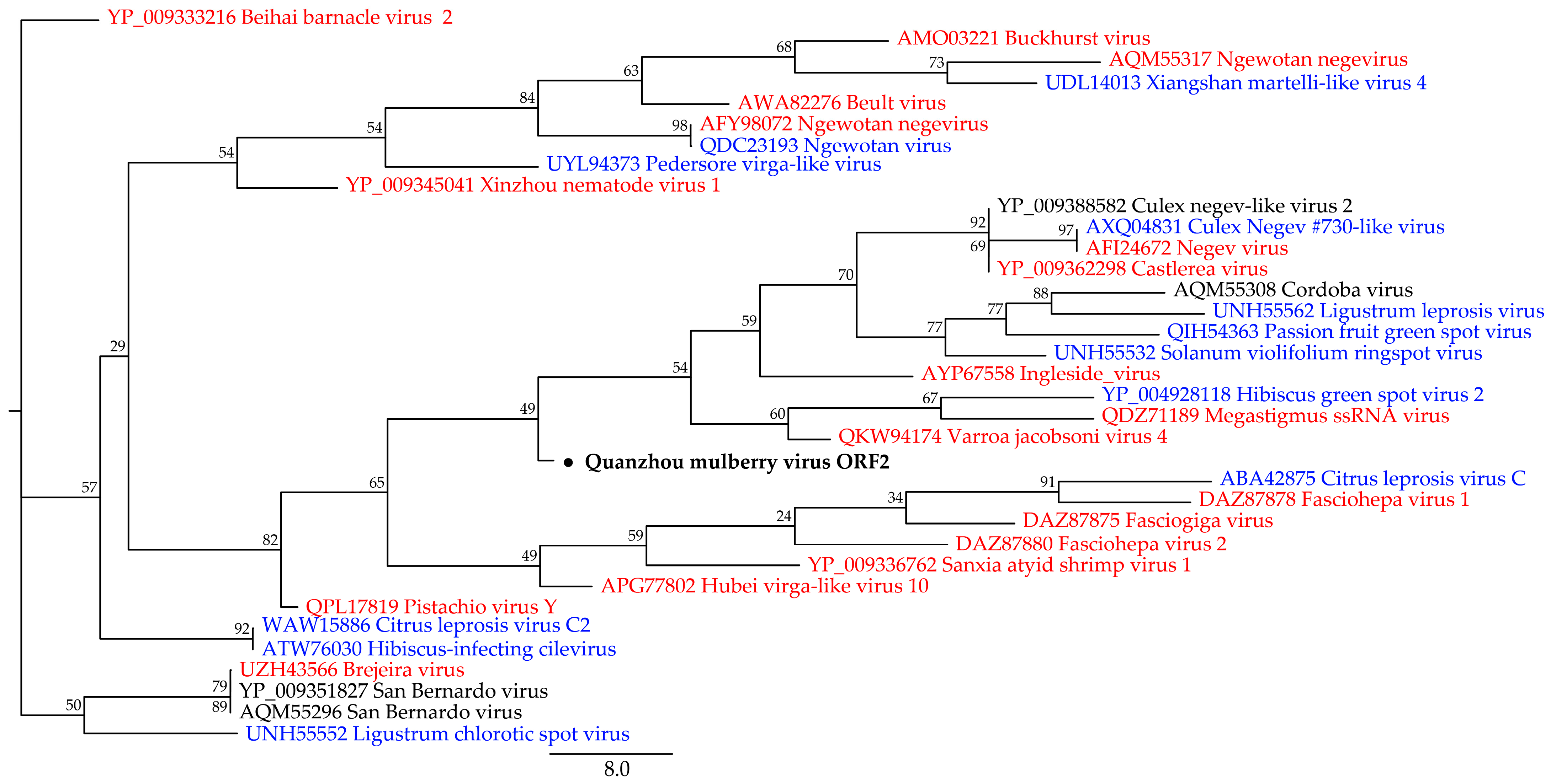 Viruses 15 01131 g003