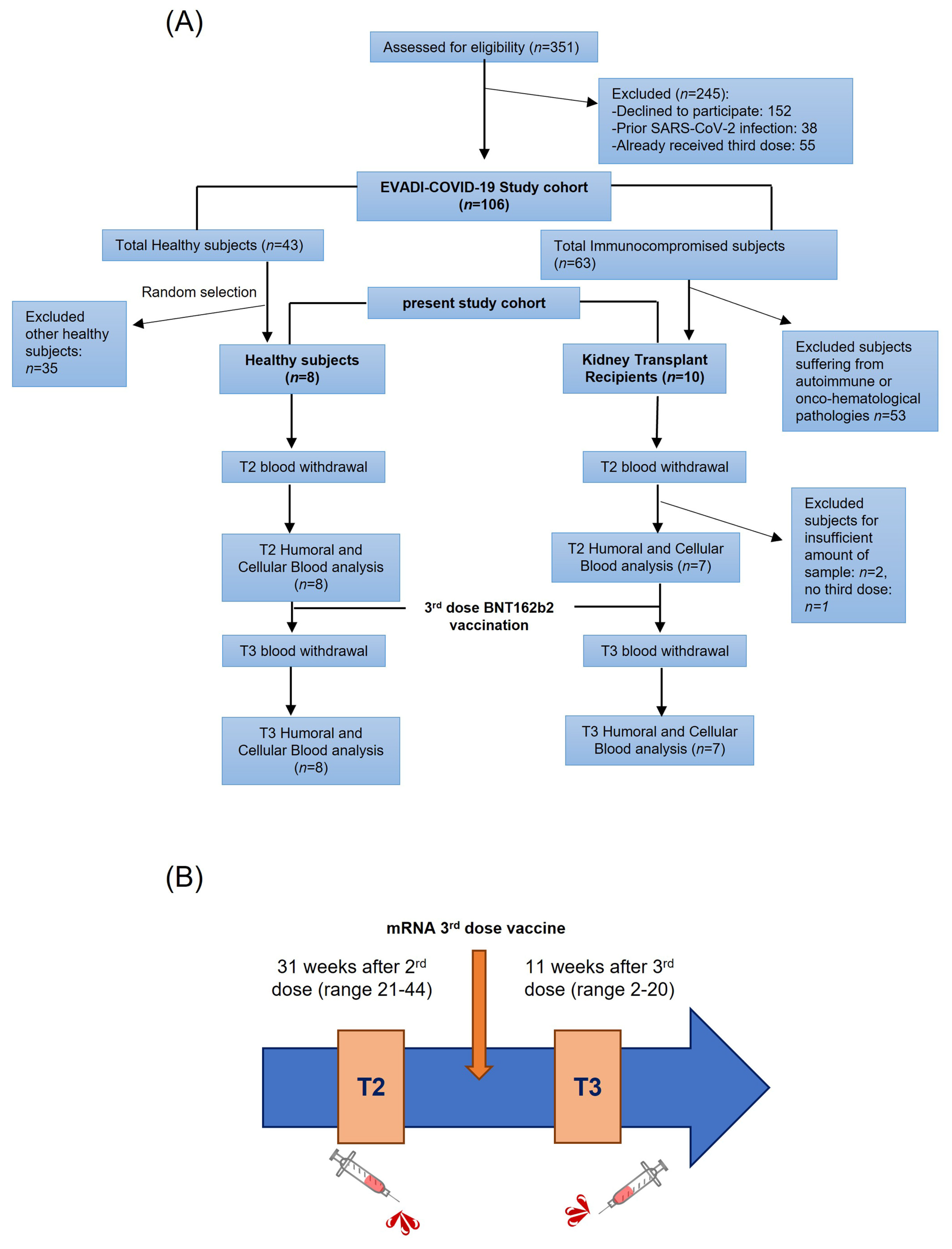 Viruses 15 01132 g001