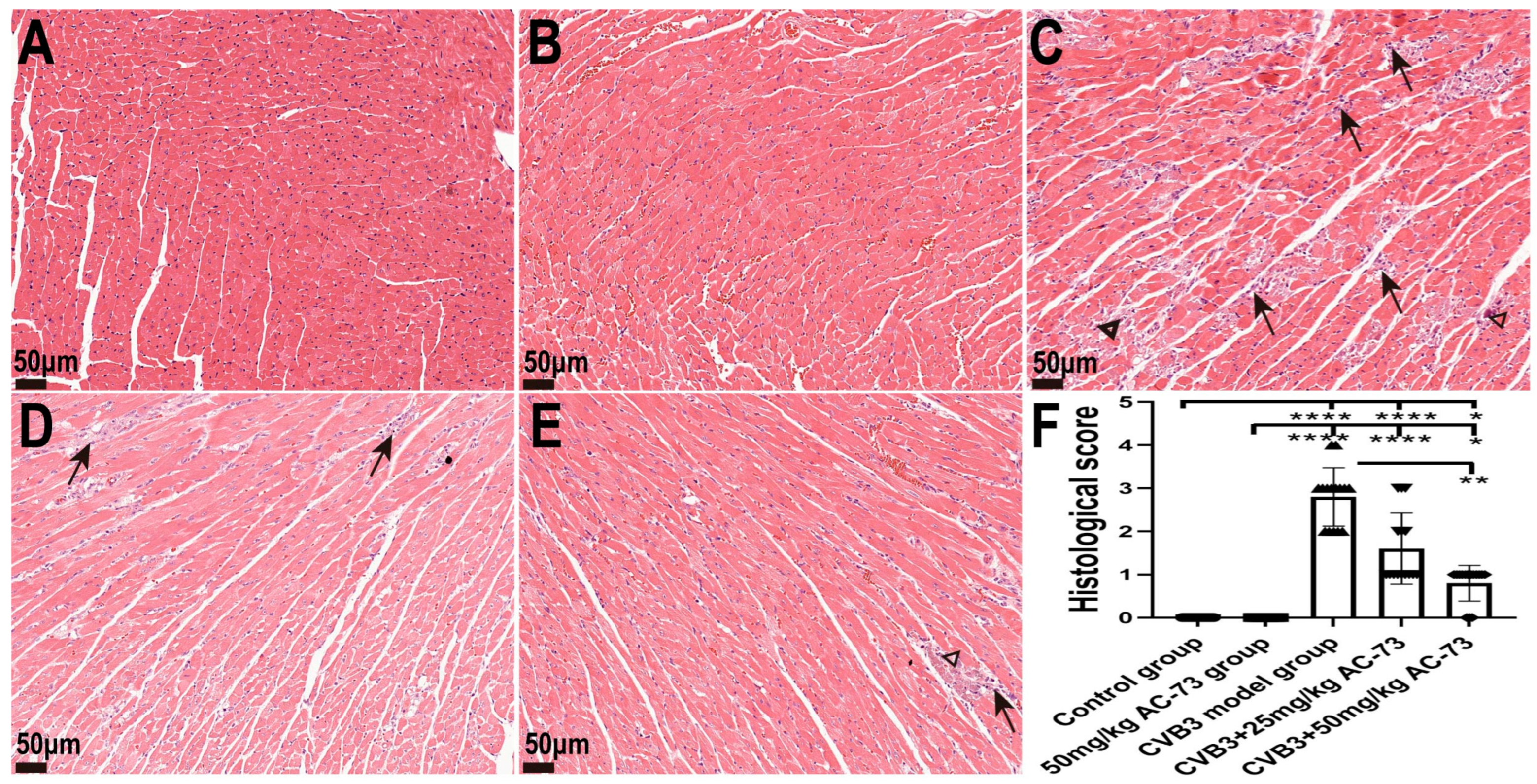 Viruses 15 01137 g003
