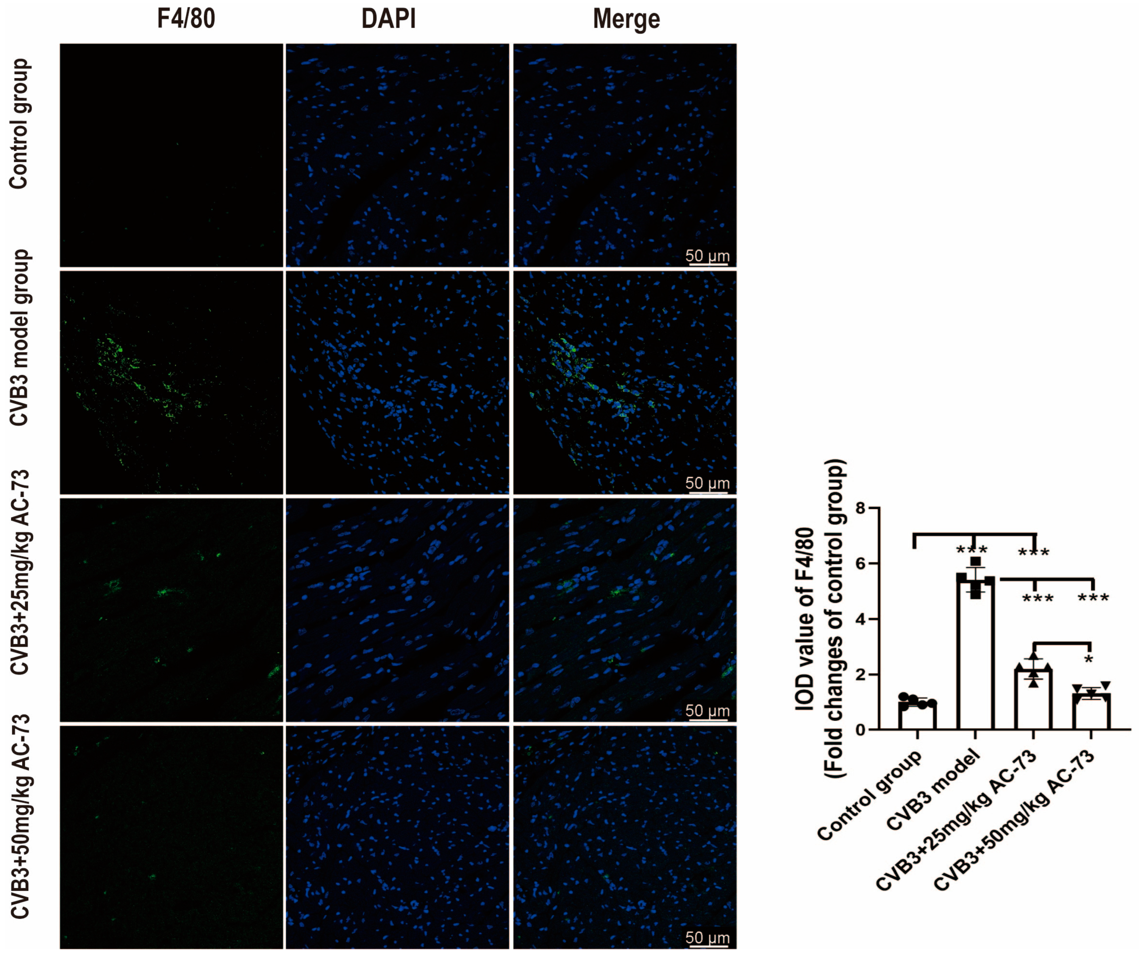 Viruses 15 01137 g008