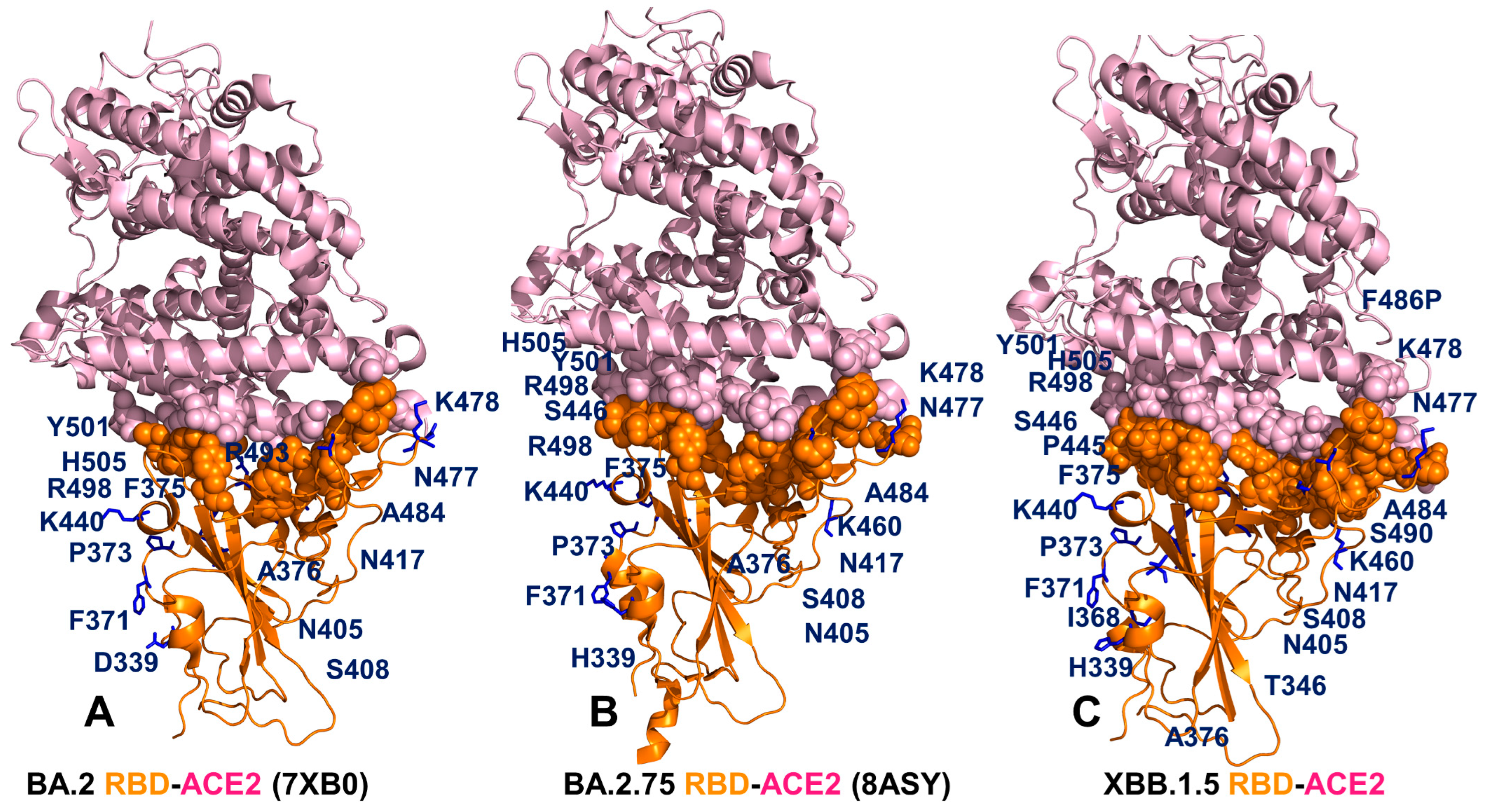 Viruses 15 01143 g008
