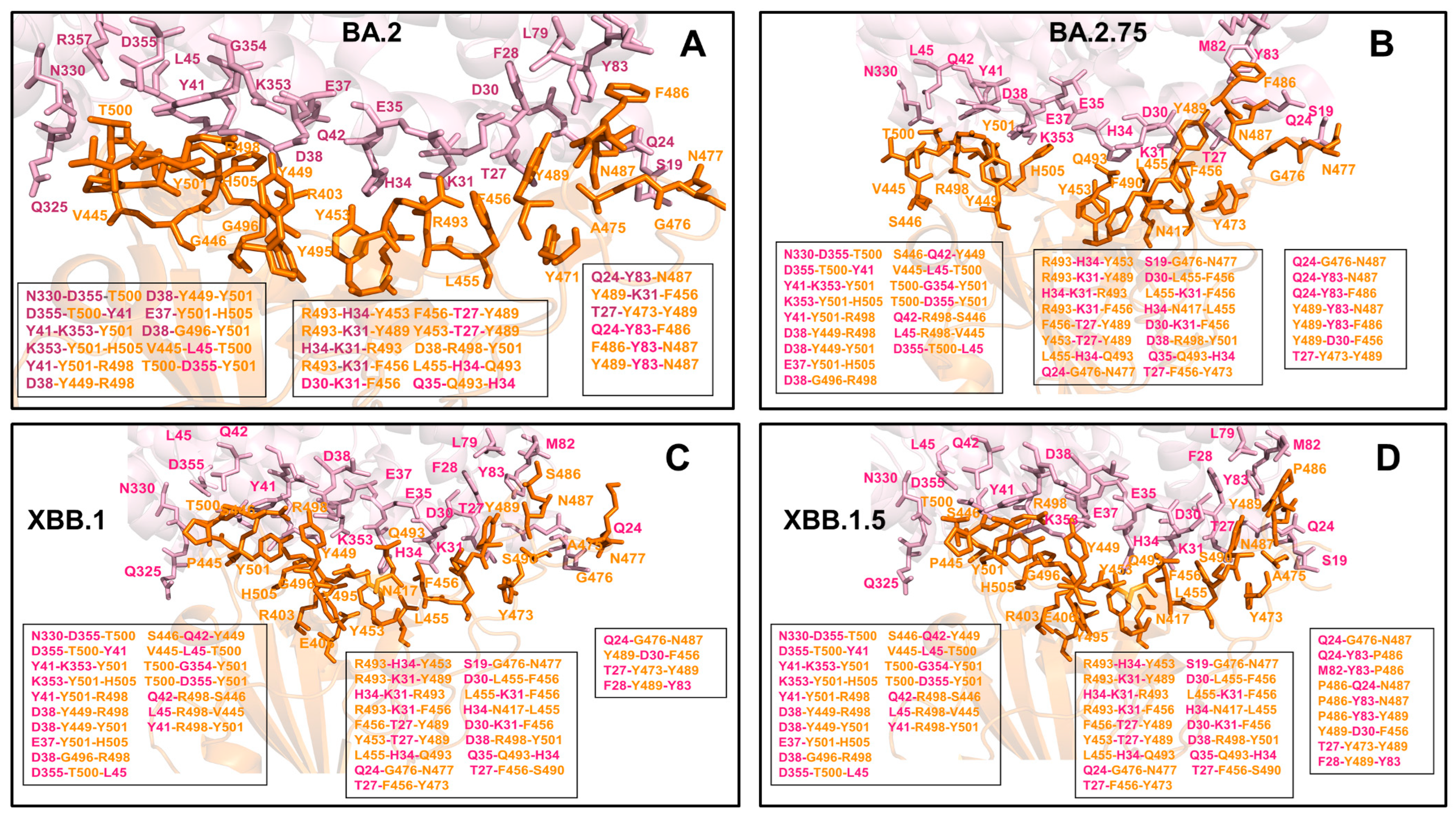 Viruses 15 01143 g009