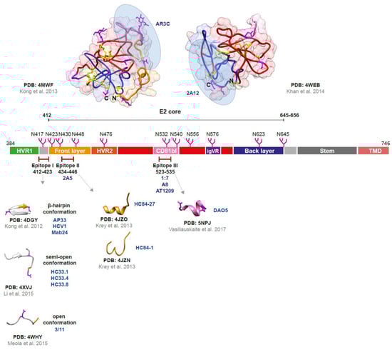 Viruses 15 01151 g002