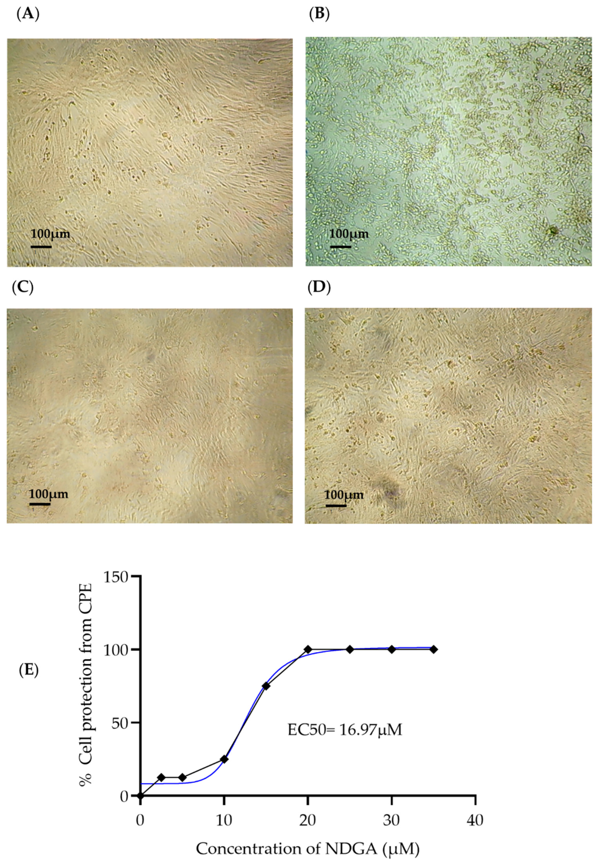Viruses 15 01155 g002