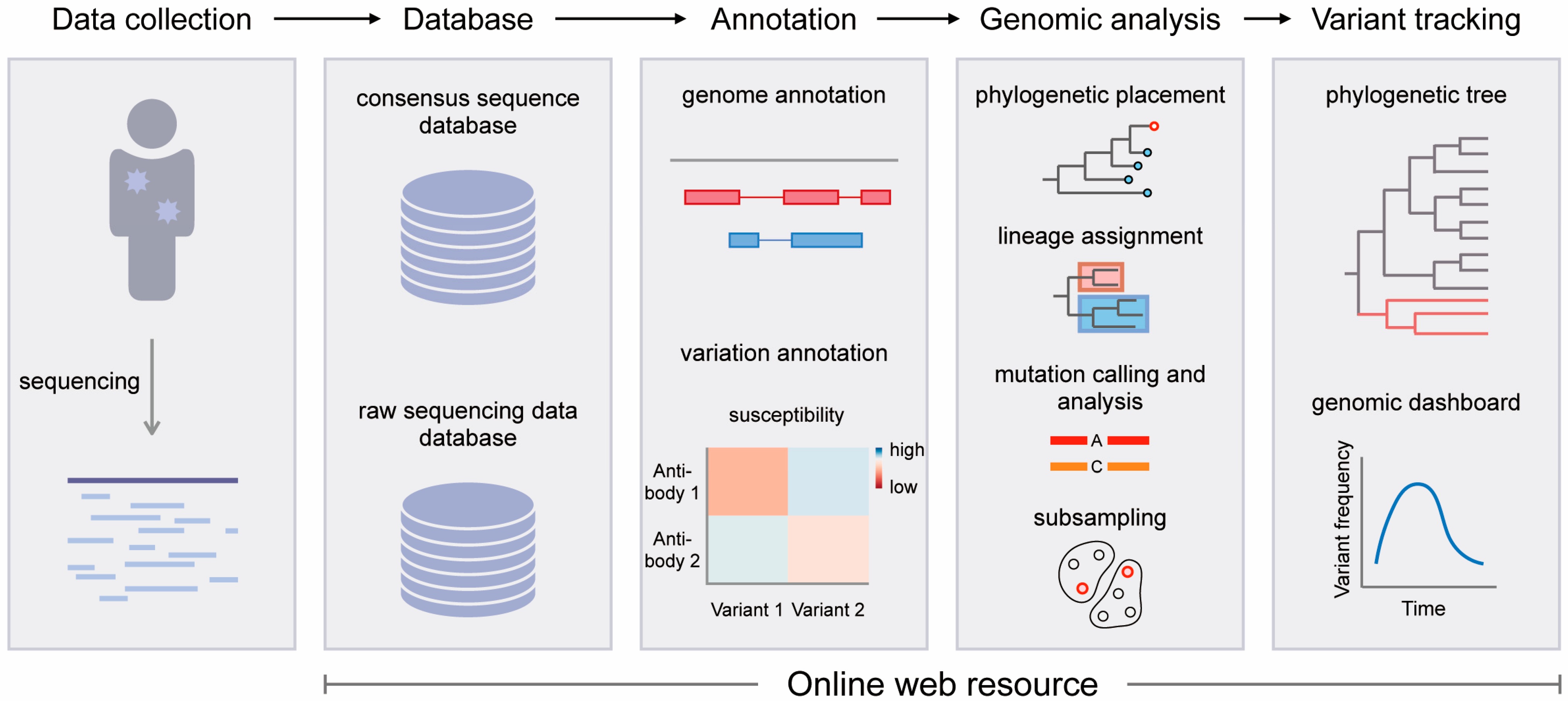 Viruses 15 01158 g001
