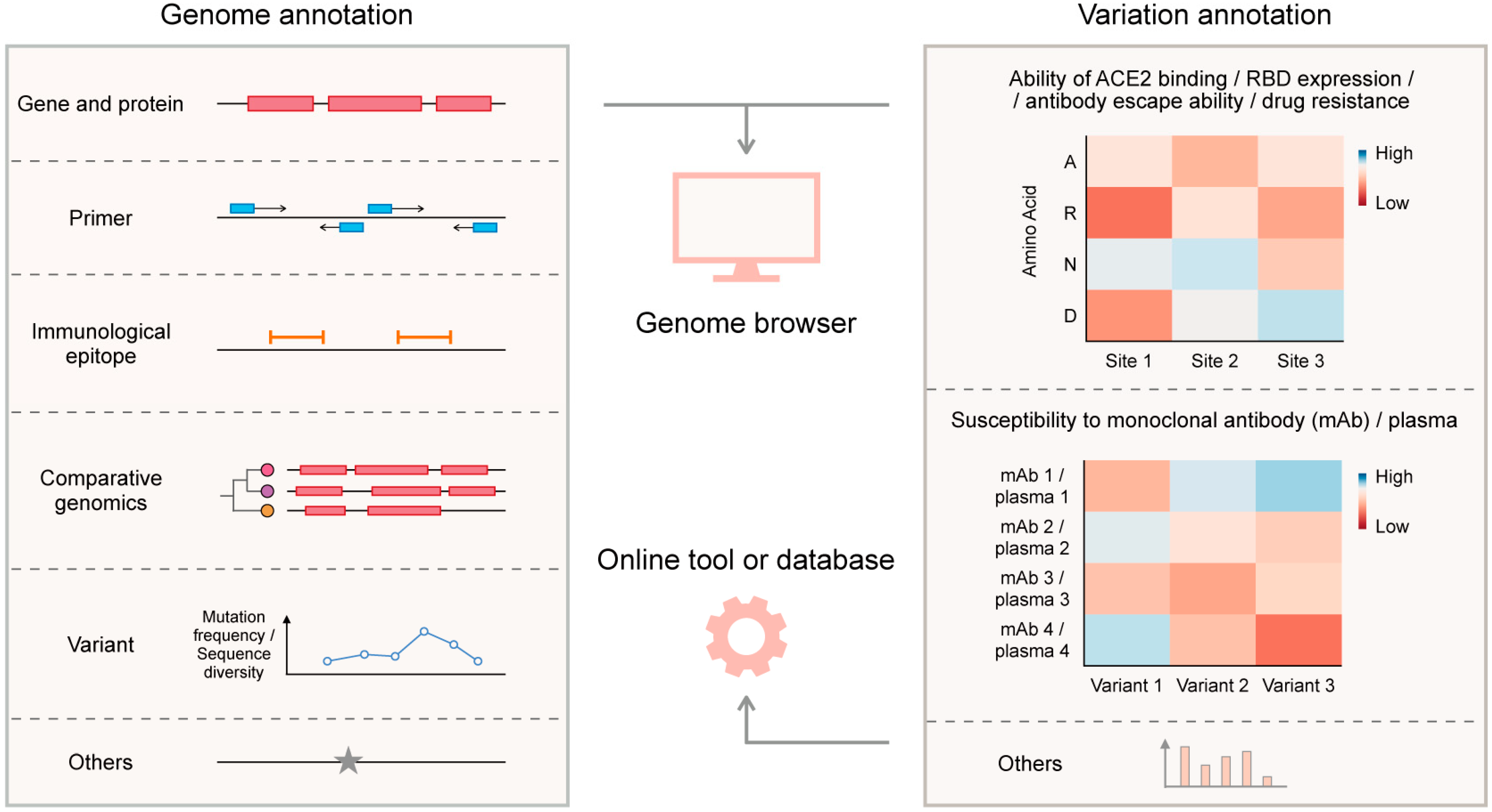 Viruses 15 01158 g003