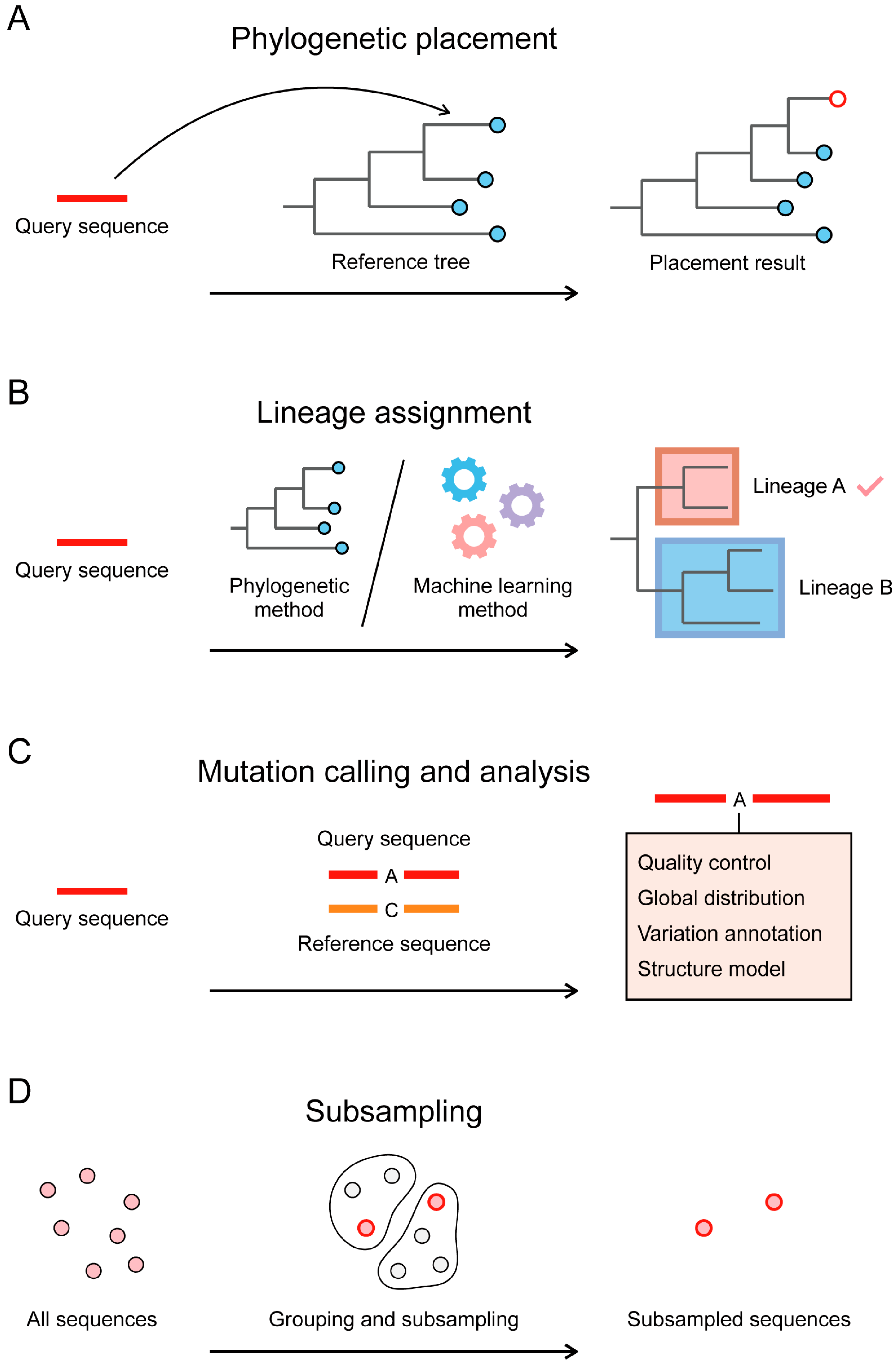 Viruses 15 01158 g004