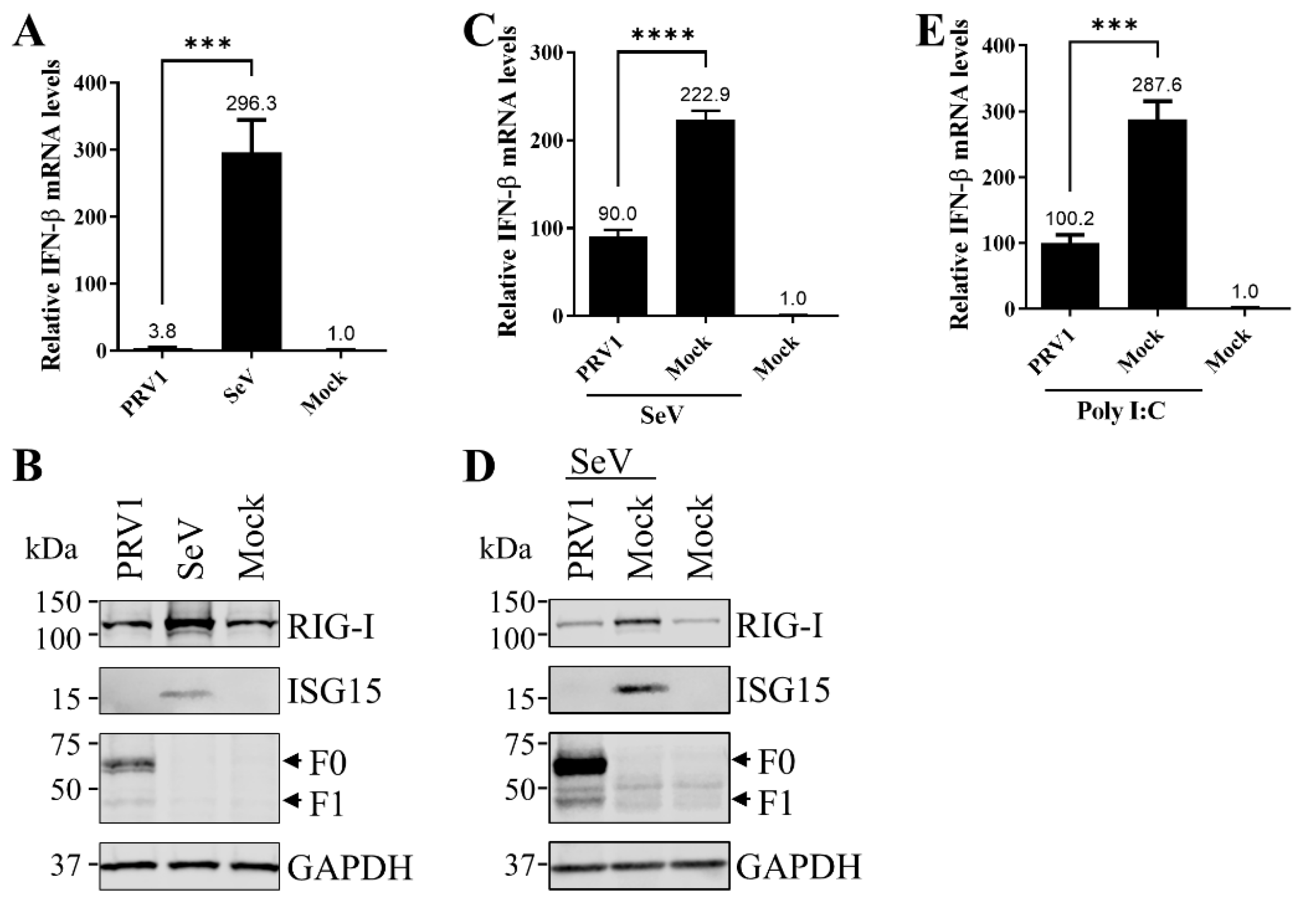 Viruses 15 01176 g001