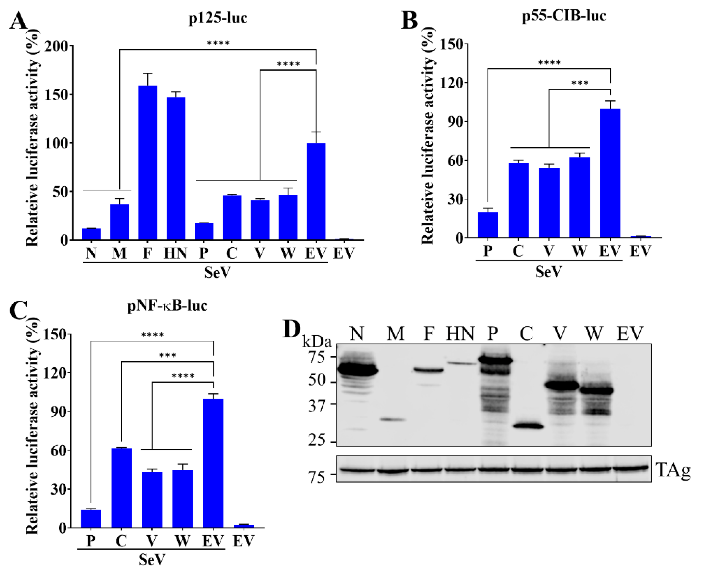 Viruses 15 01176 g002