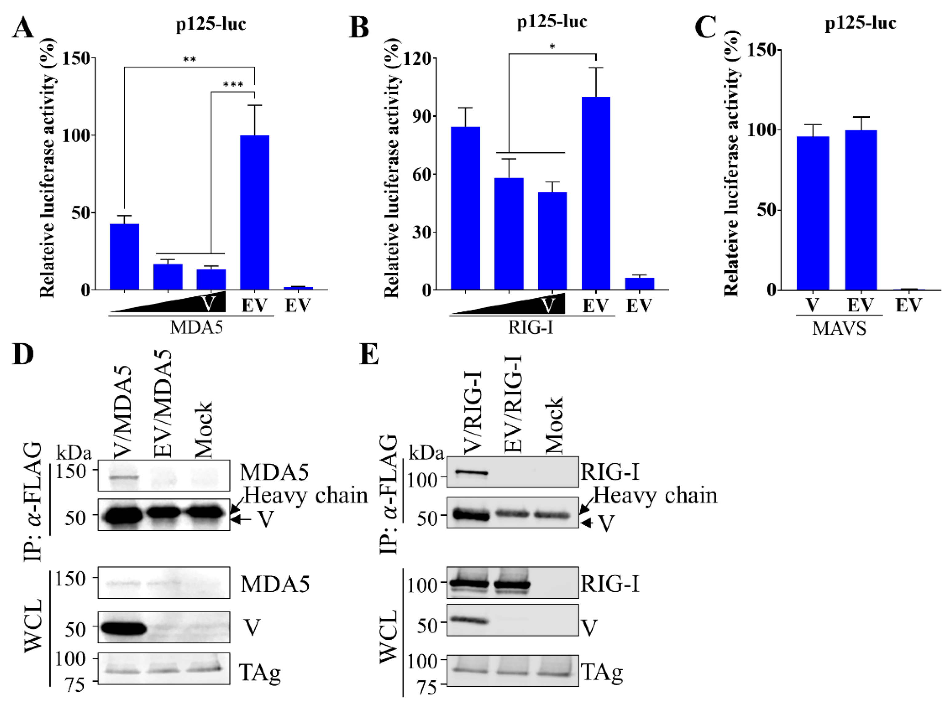 Viruses 15 01176 g003