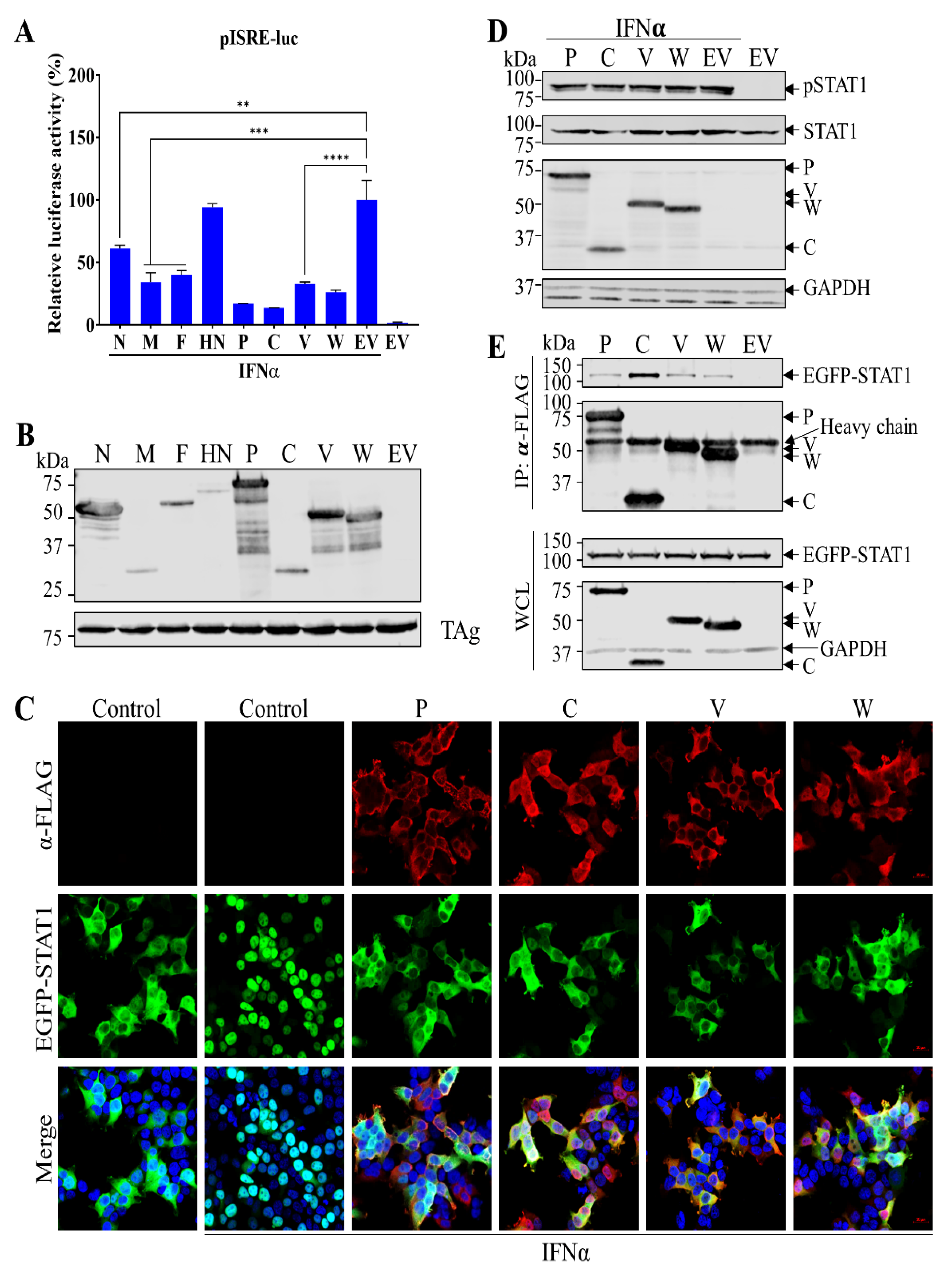 Viruses 15 01176 g005