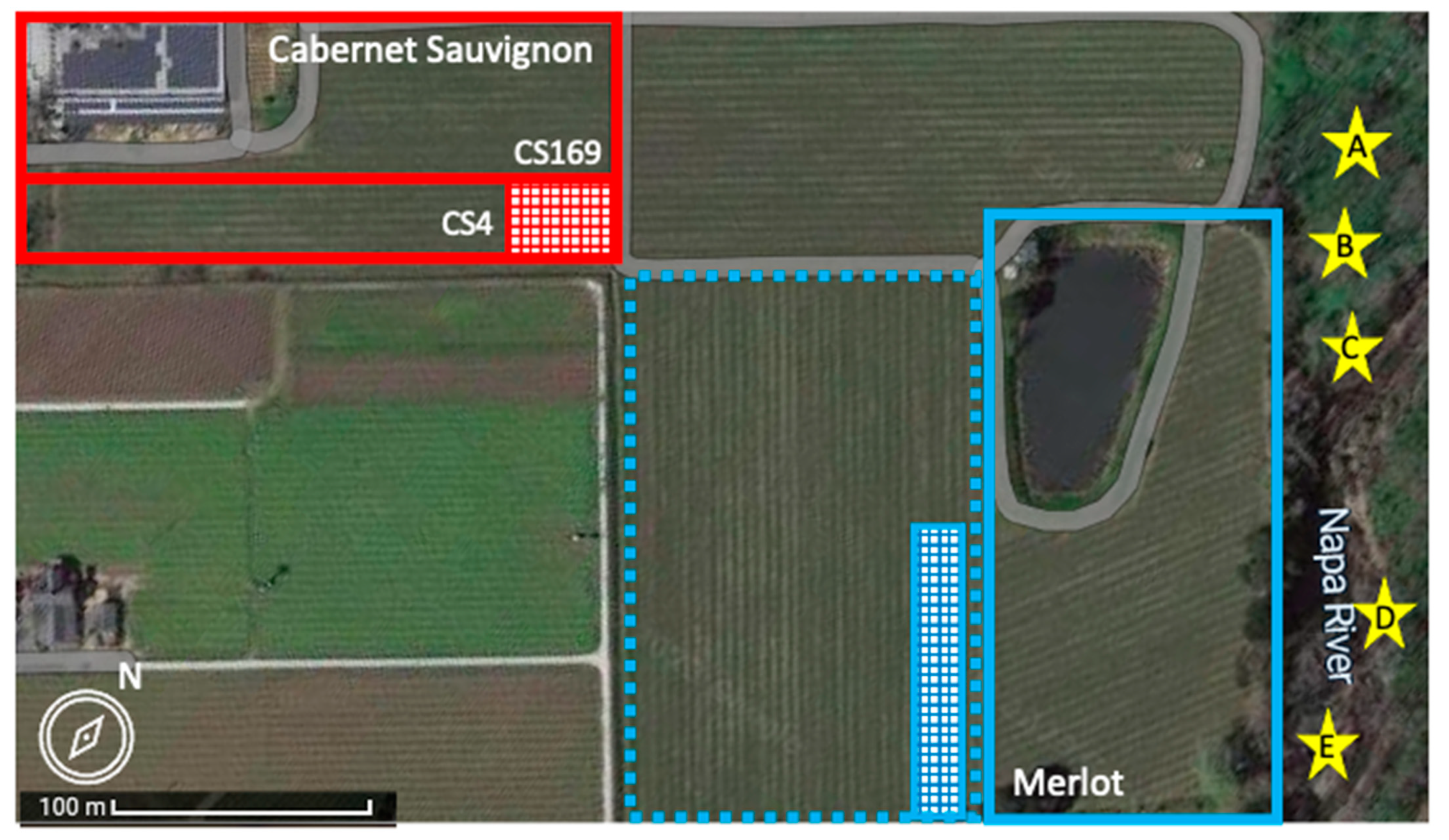 Viruses 15 01184 g001 Viruses 15 01184 g001