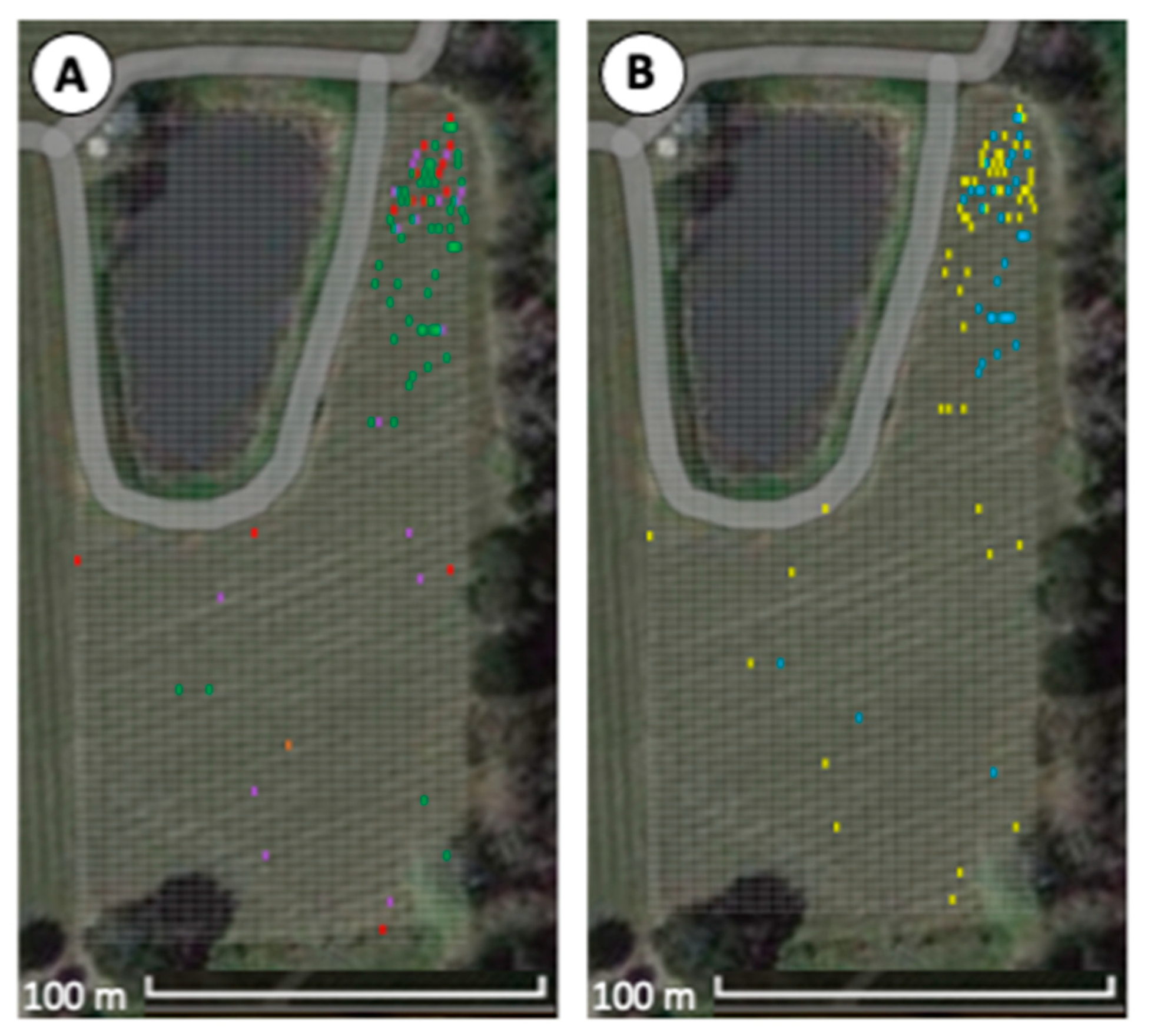 Viruses 15 01184 g002 Viruses 15 01184 g002