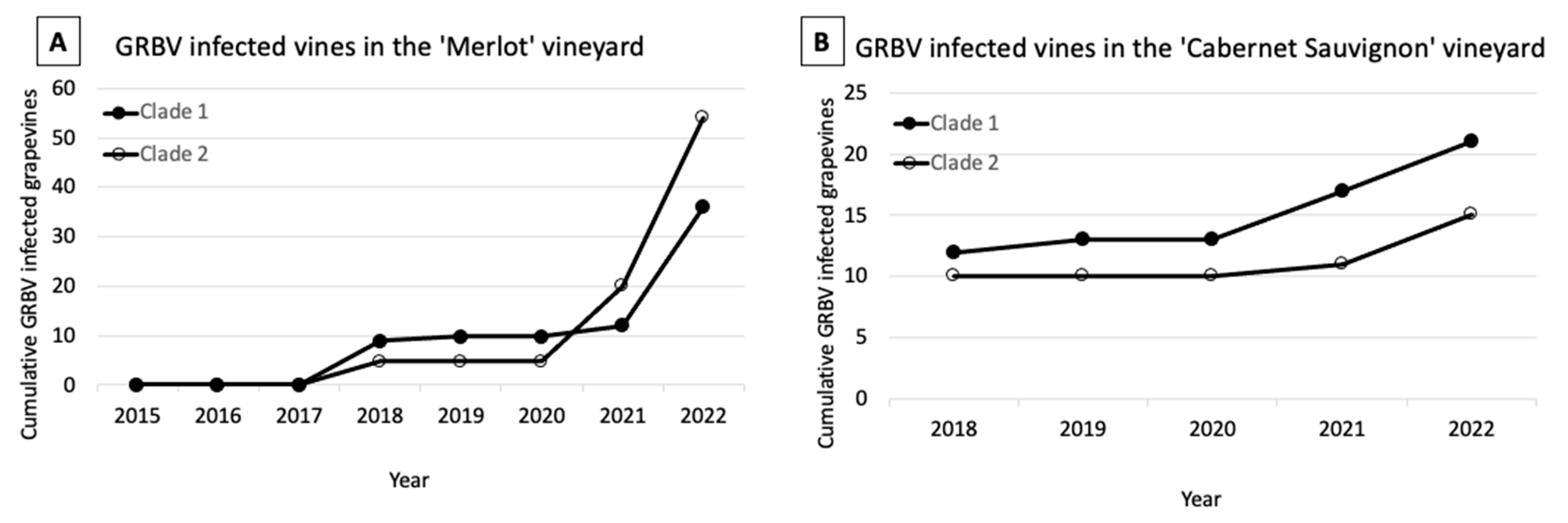 Viruses 15 01184 g004 Viruses 15 01184 g004