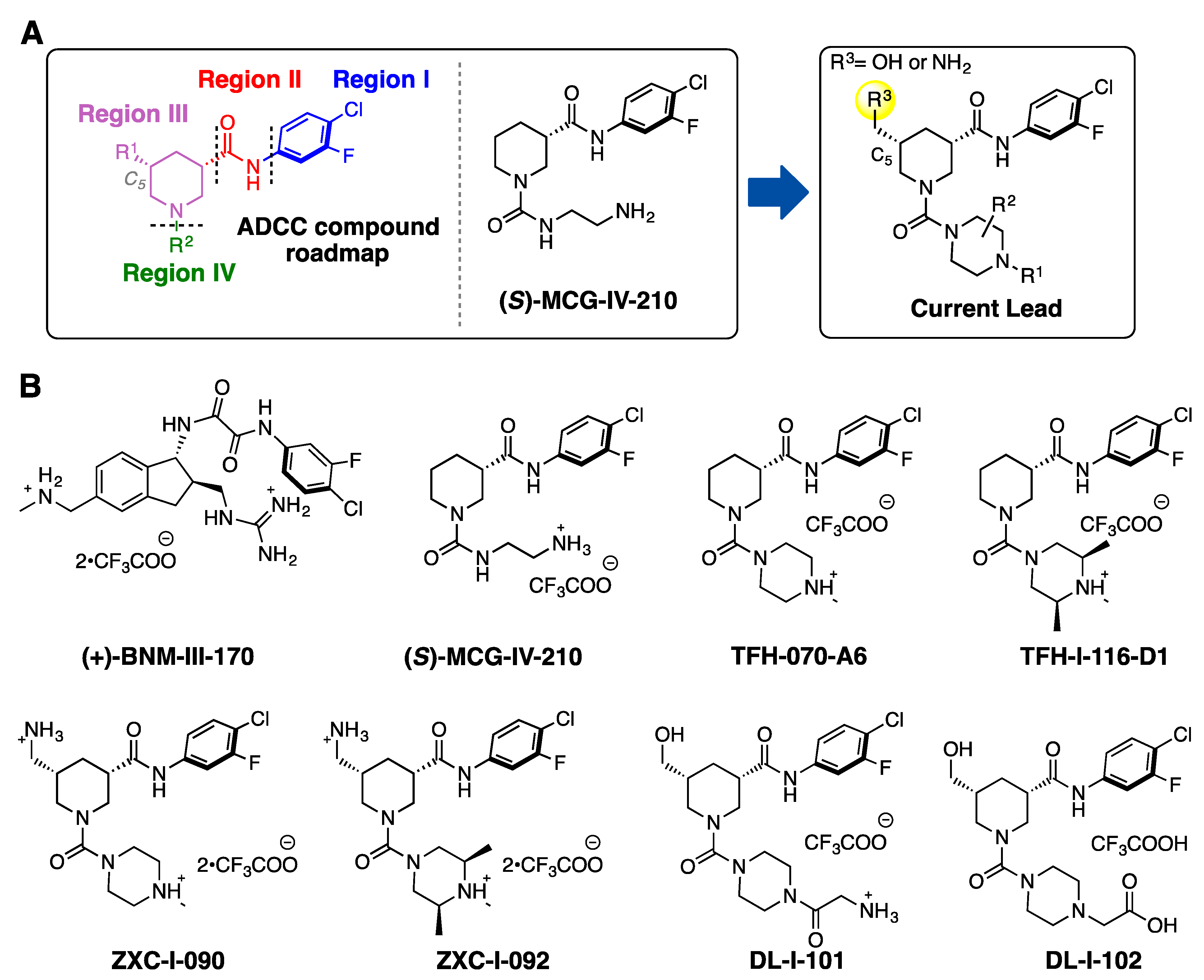 Viruses 15 01185 g001