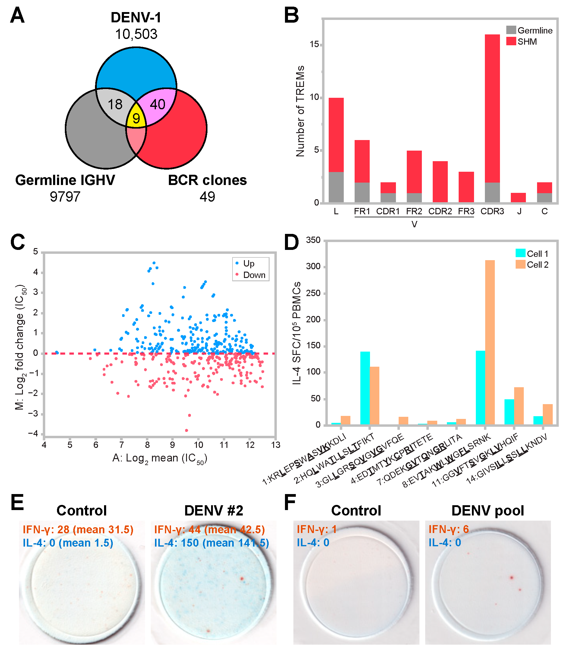Viruses 15 01186 g006