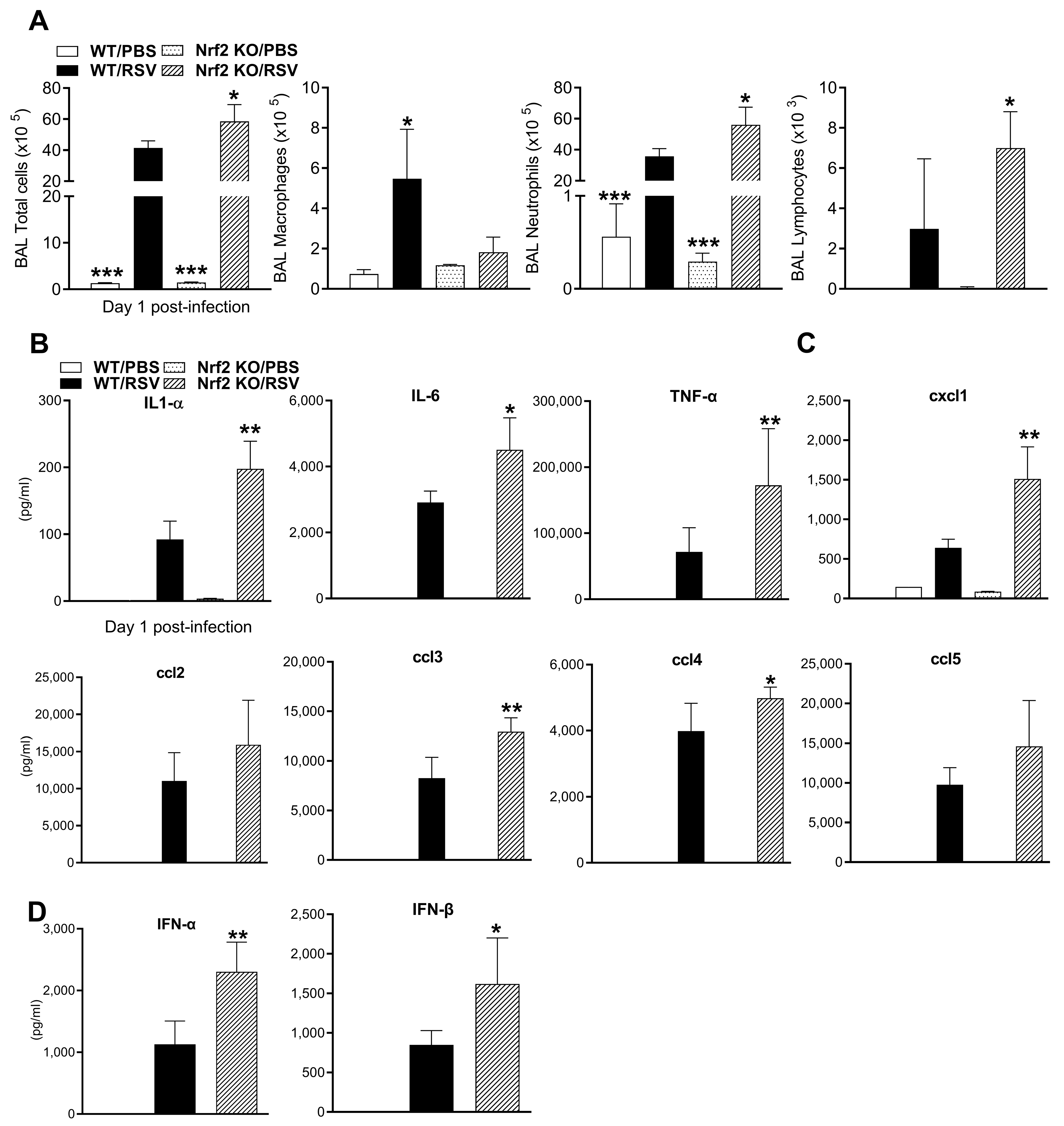 Viruses 15 01191 g002