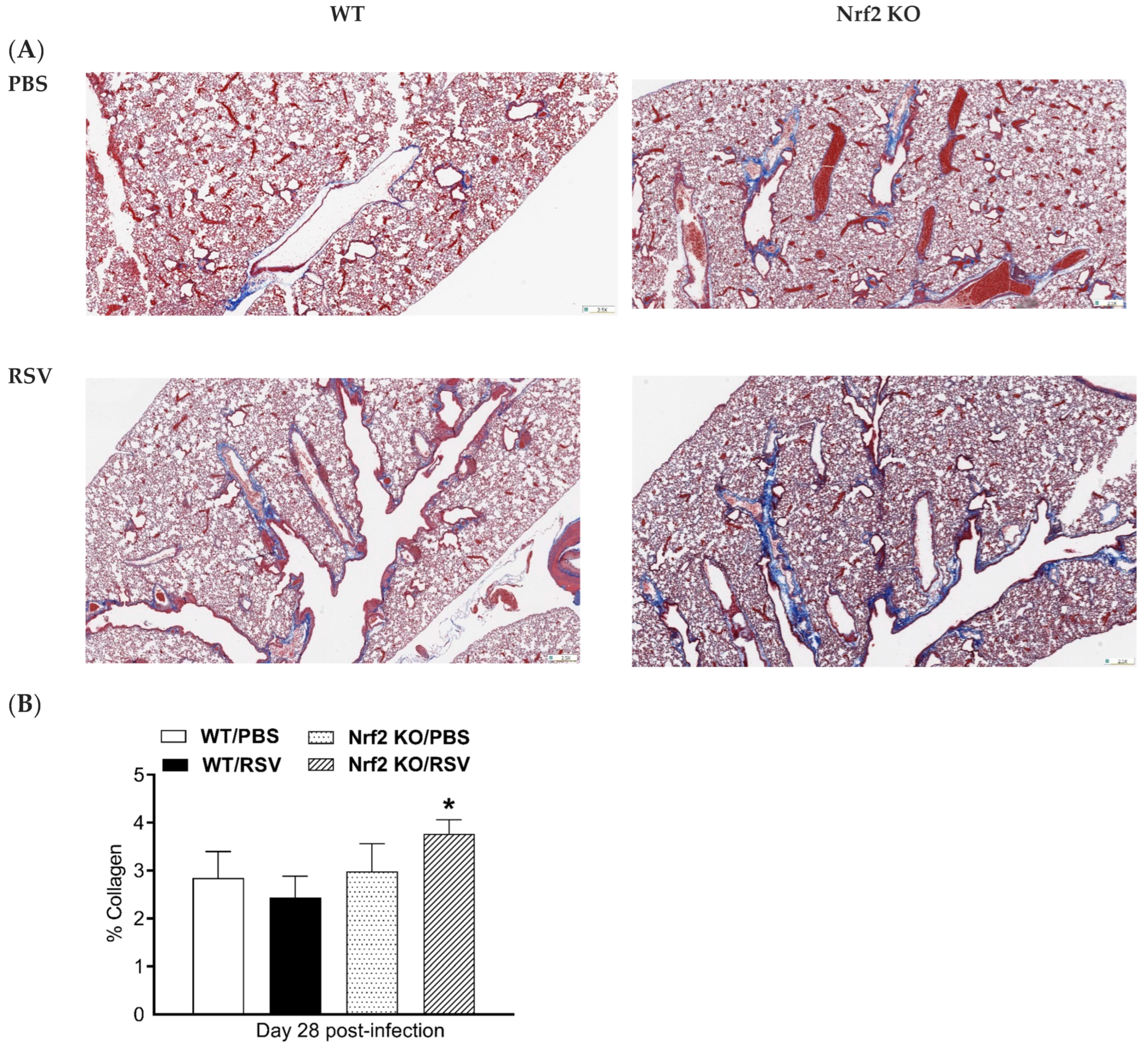 Viruses 15 01191 g005