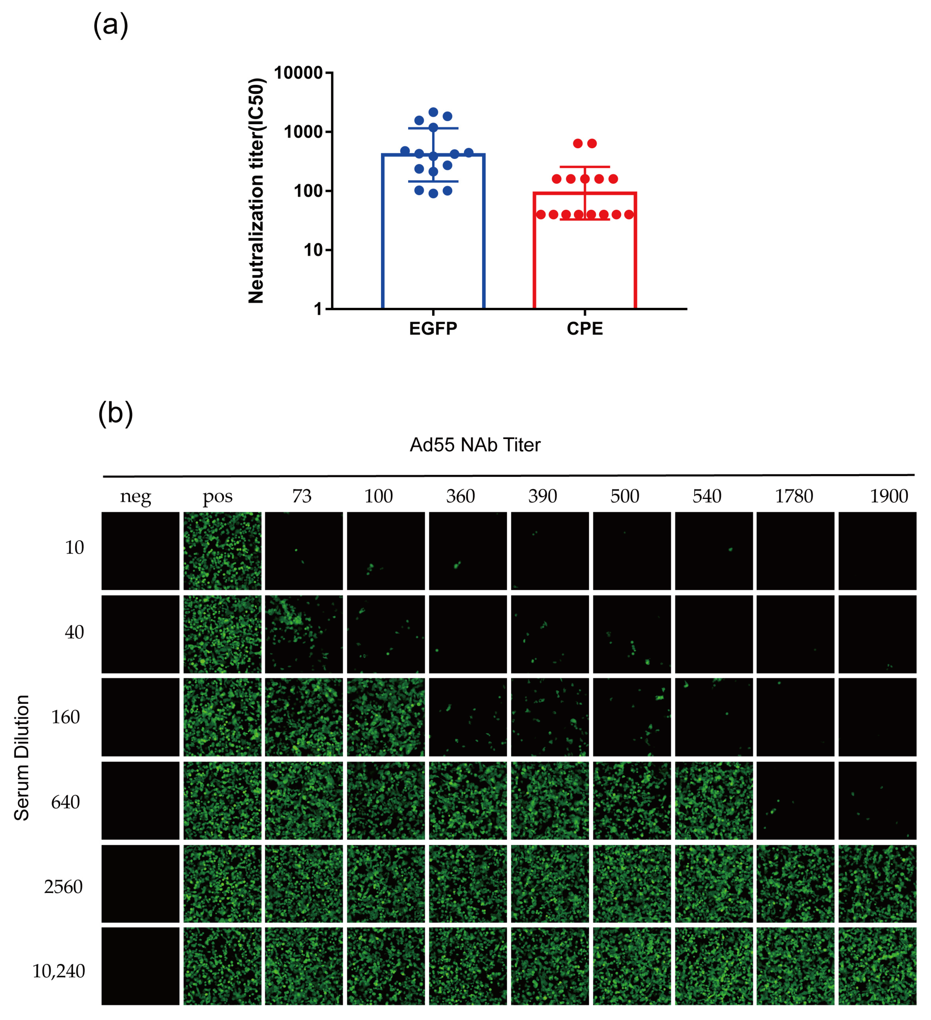 Viruses 15 01192 g007