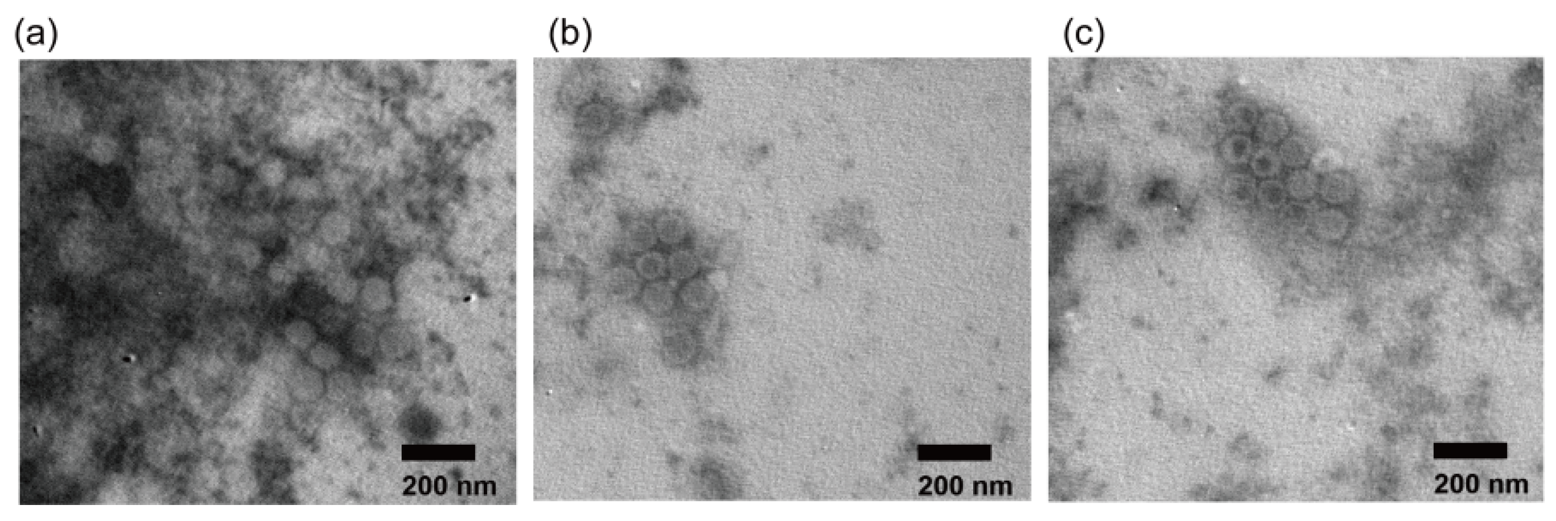 Viruses 15 01192 g009