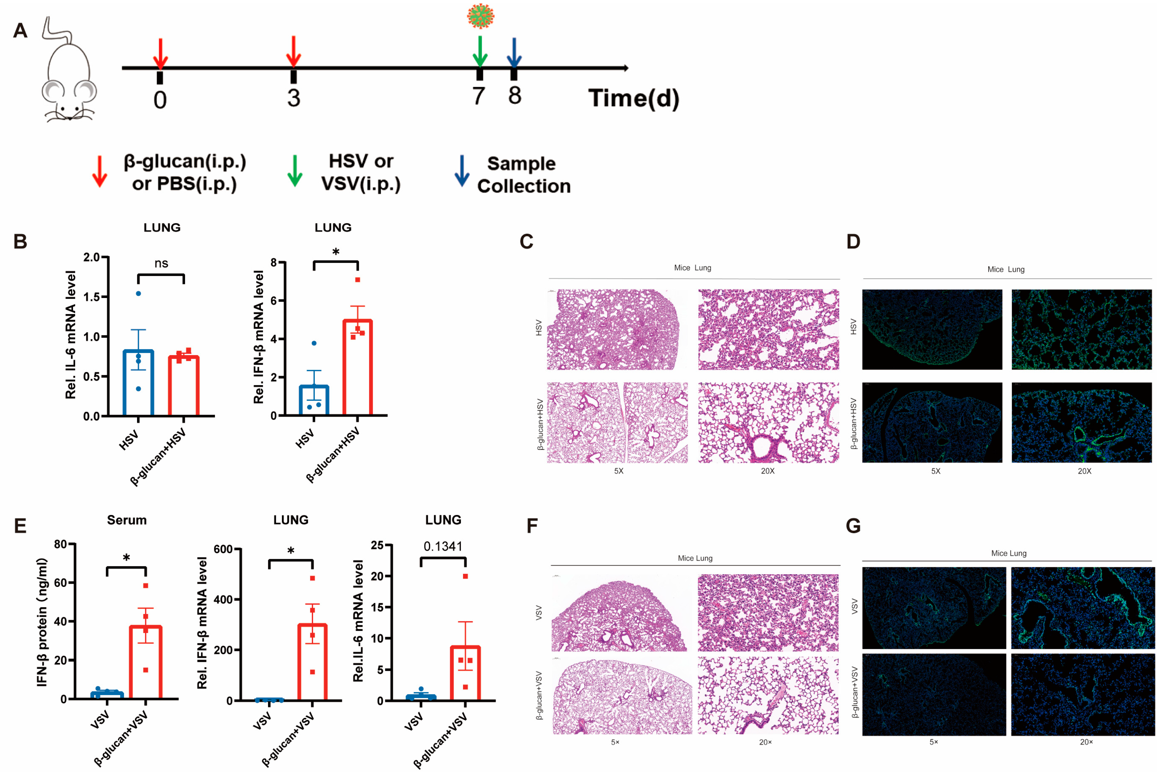 Viruses 15 01204 g004