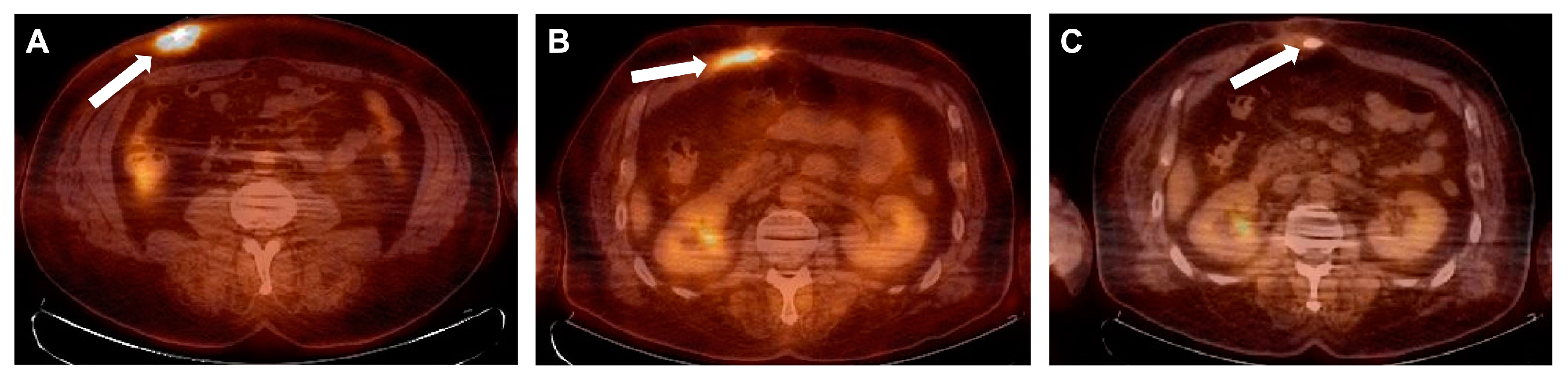 Viruses 15 01210 g003